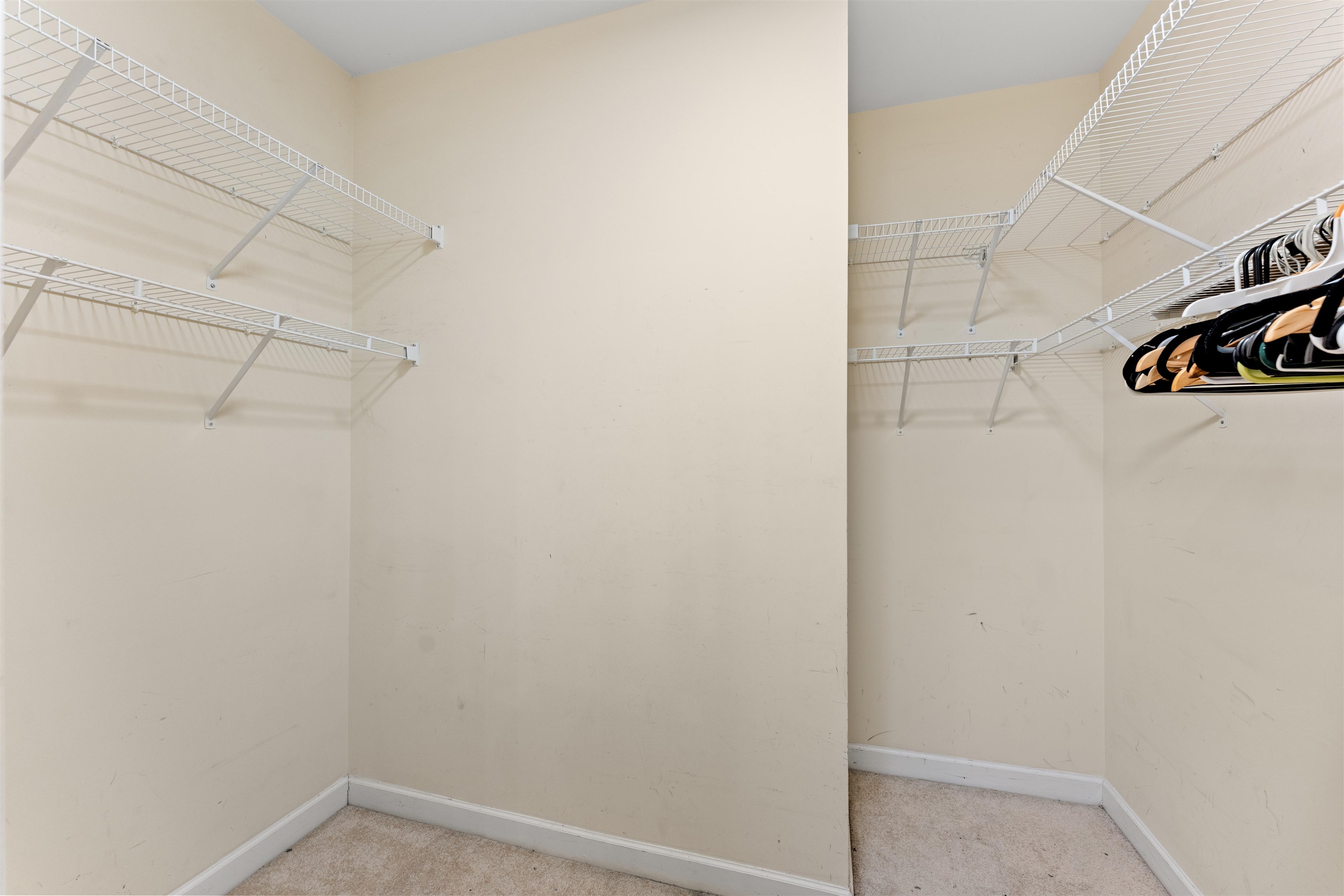 4301 Marshwood Dr. Property Photo 20