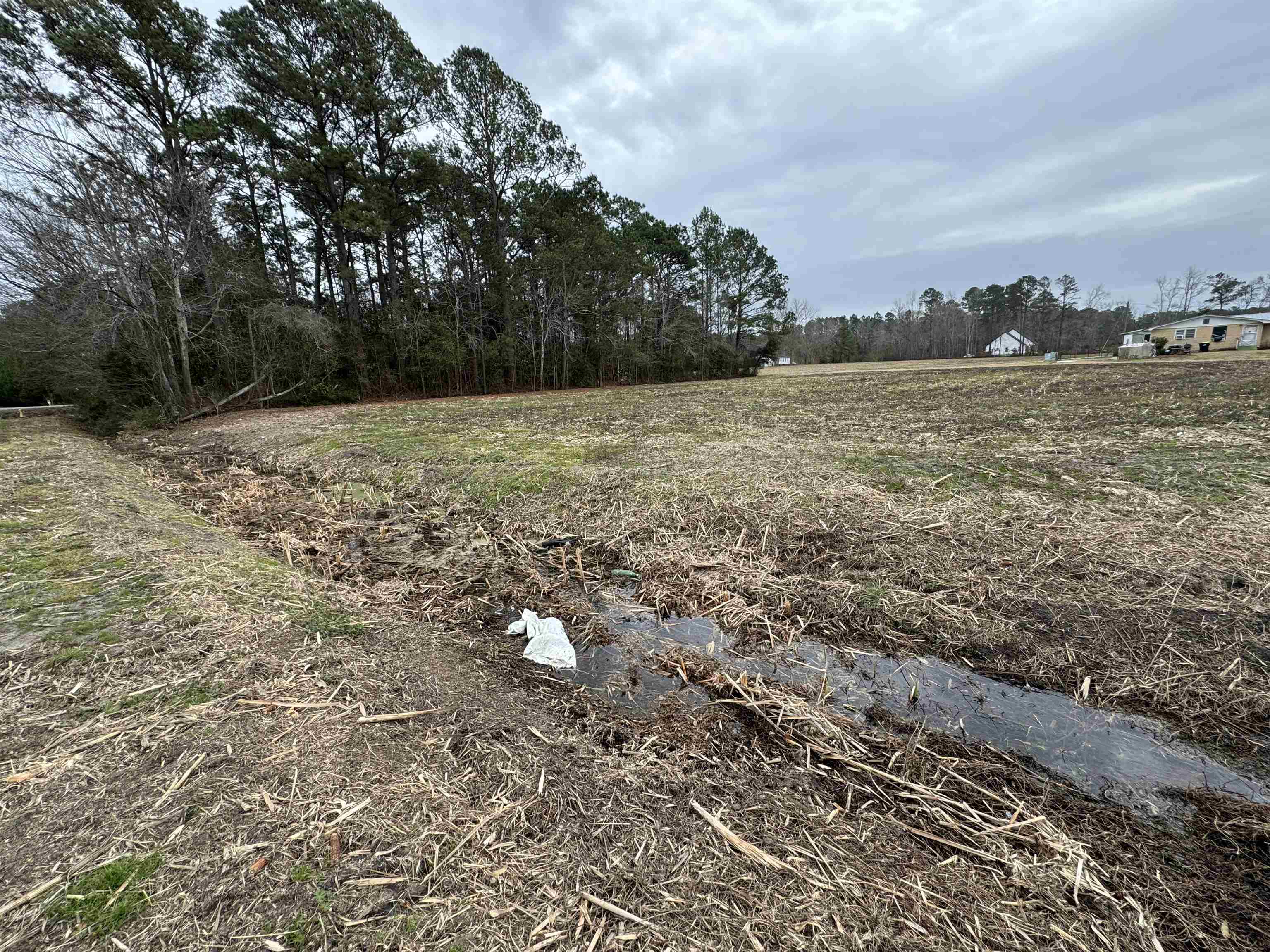 Tbd Highway 904 Property Photo 4