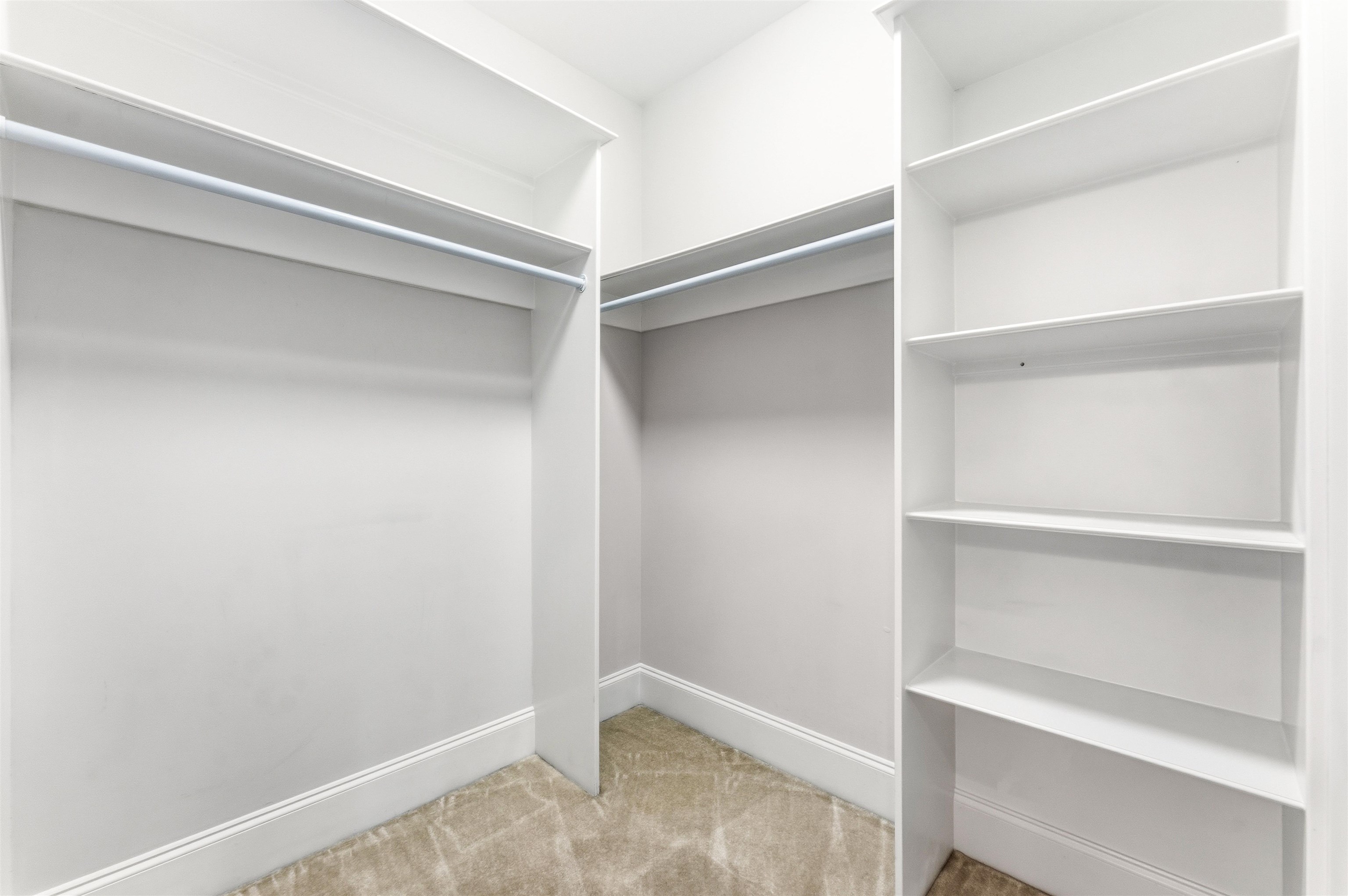 3013 Holly Berry Ct. Property Photo 59