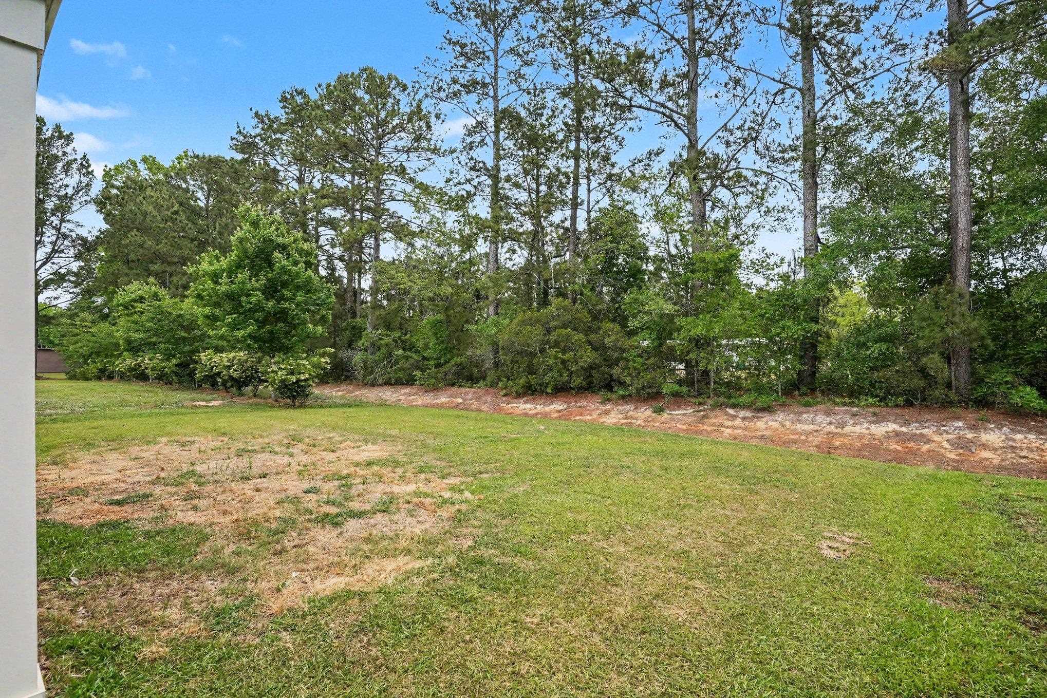2449 Campton Loop Property Photo 34