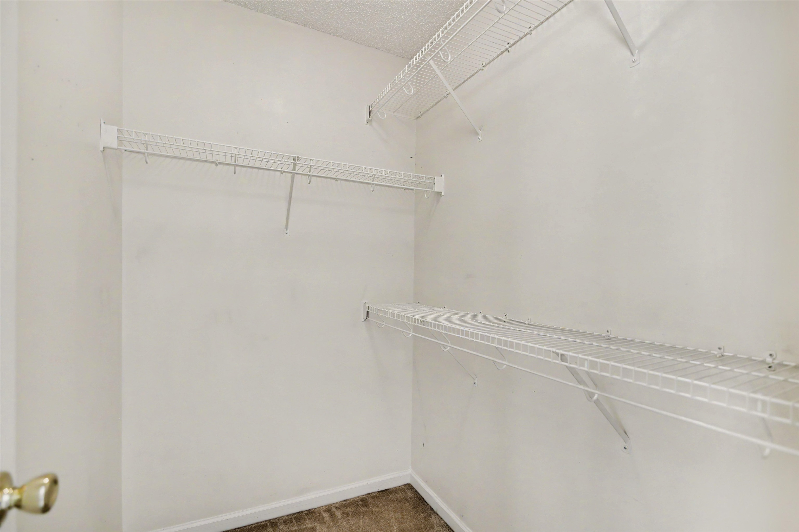 1043 Penny Ln. Property Photo 28