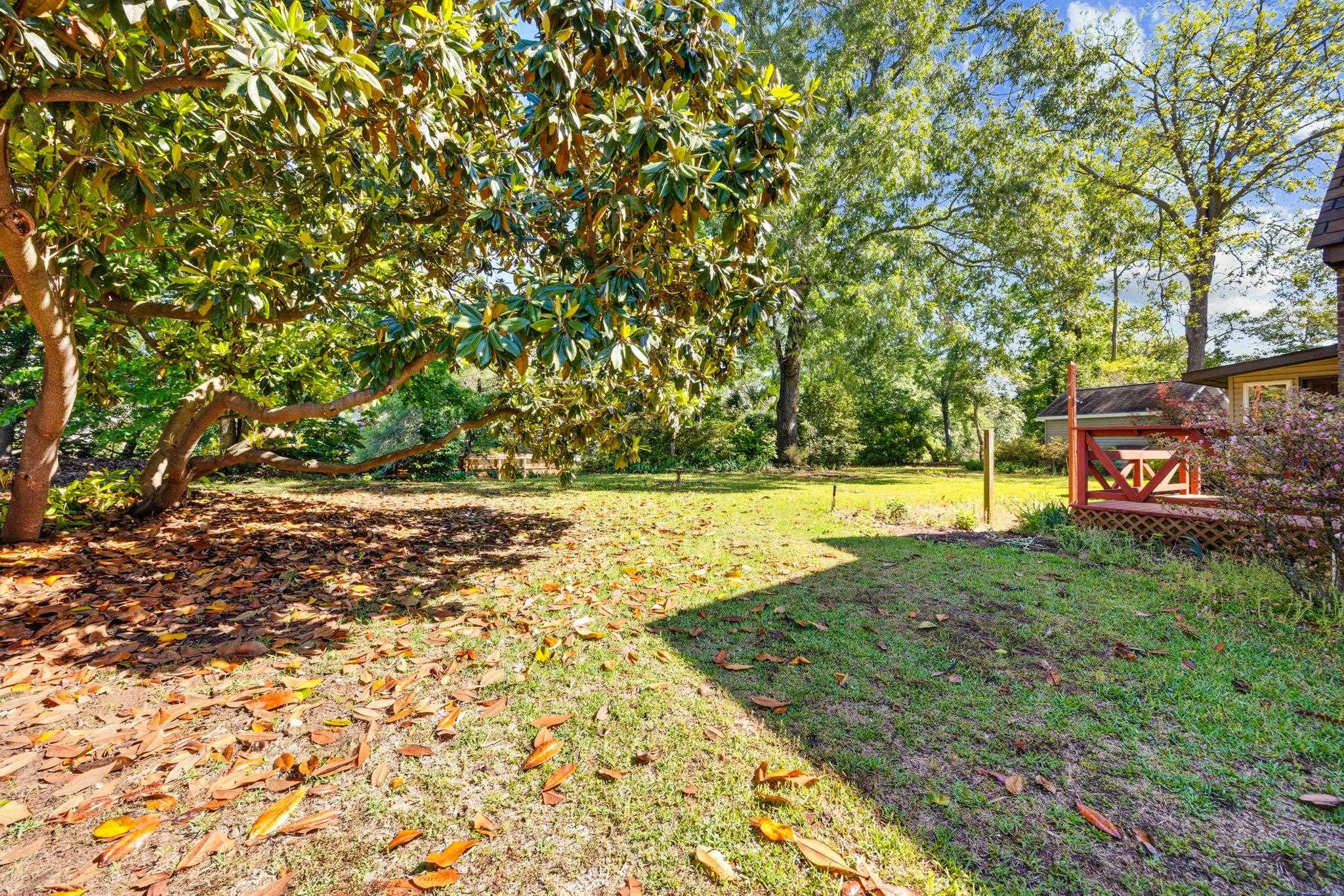 4904 Yaupon Dr. Property Photo 37