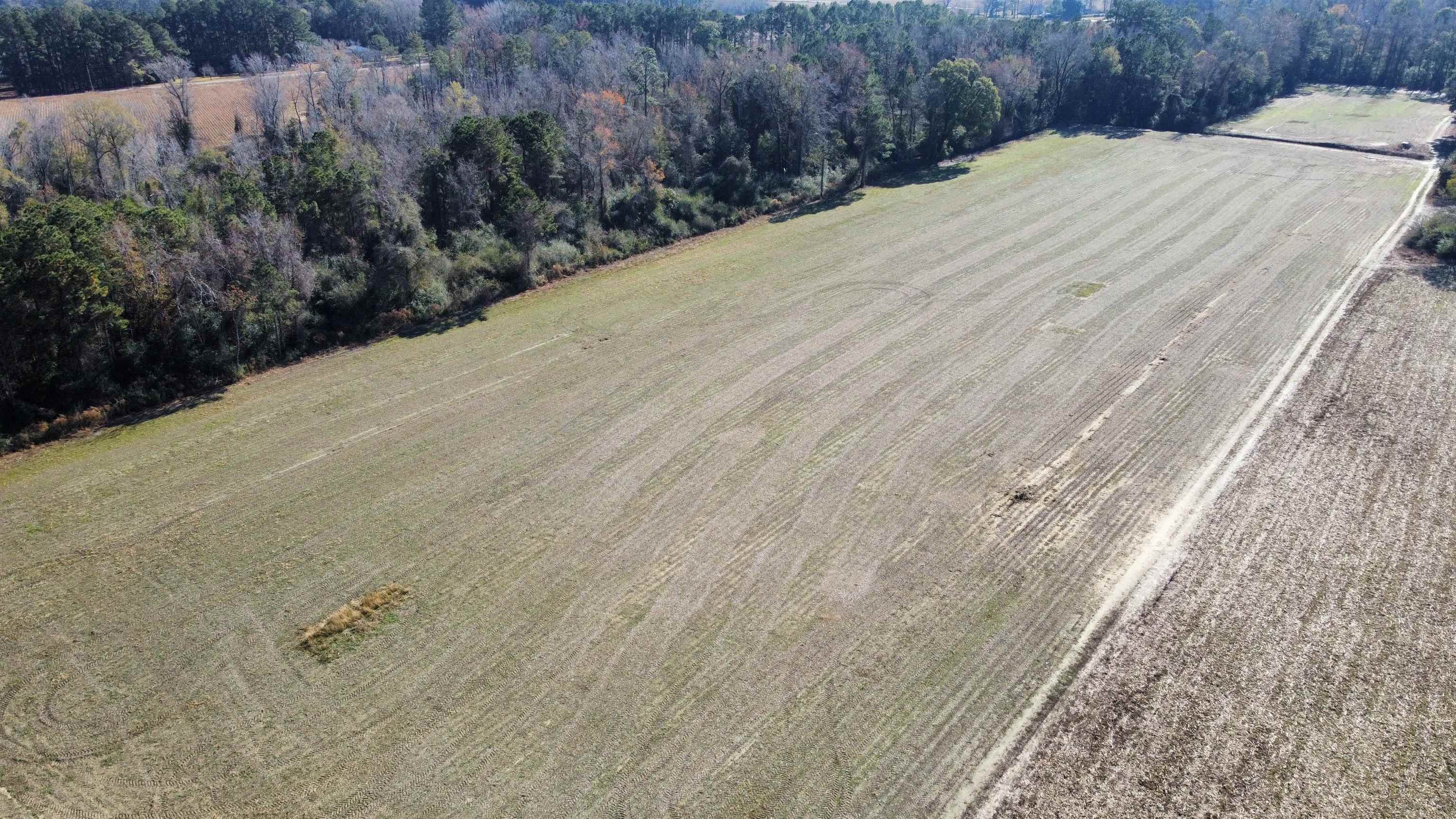 Tbd Highway 917 Property Photo 1