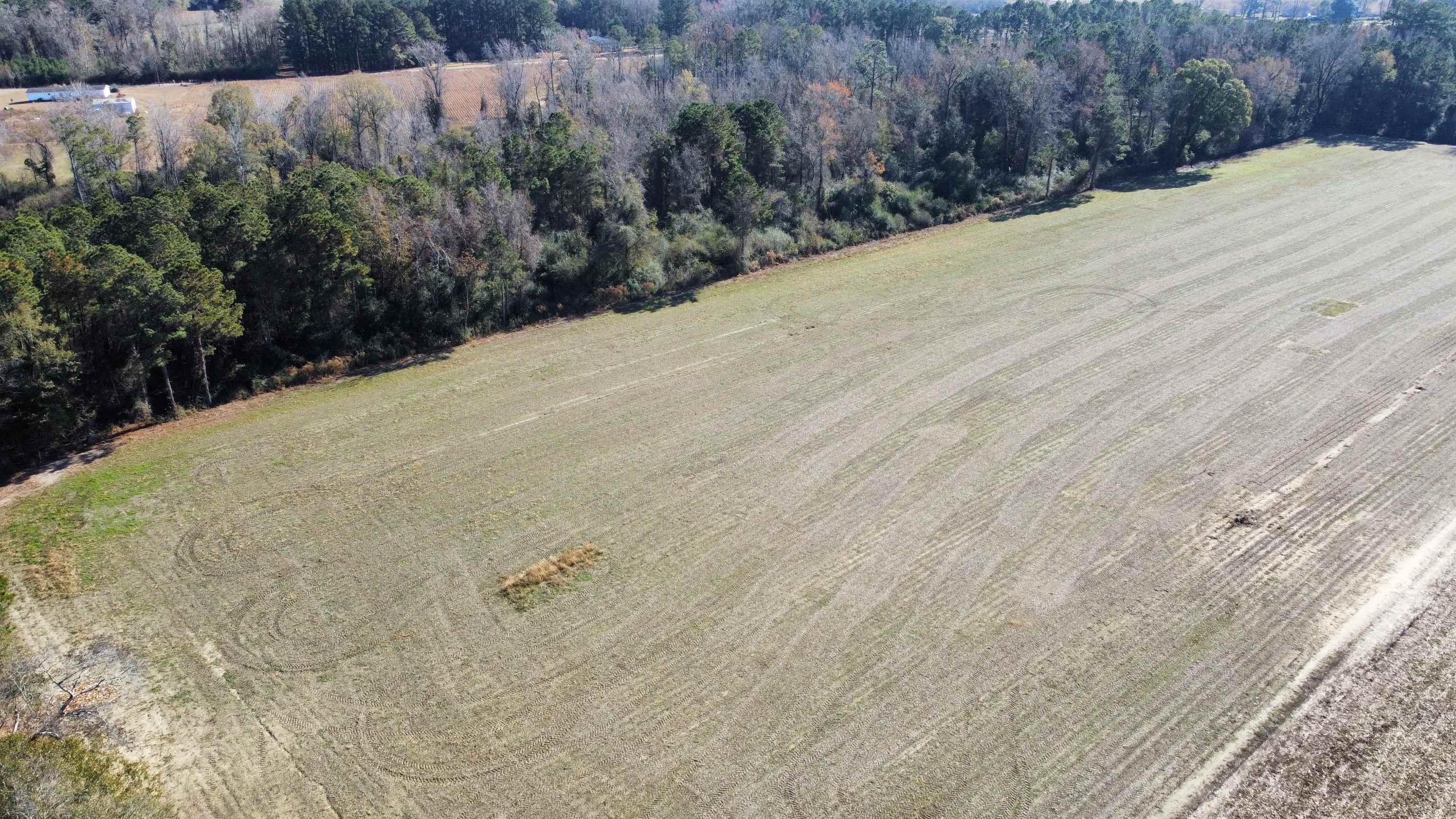 Tbd Highway 917 Property Photo 2
