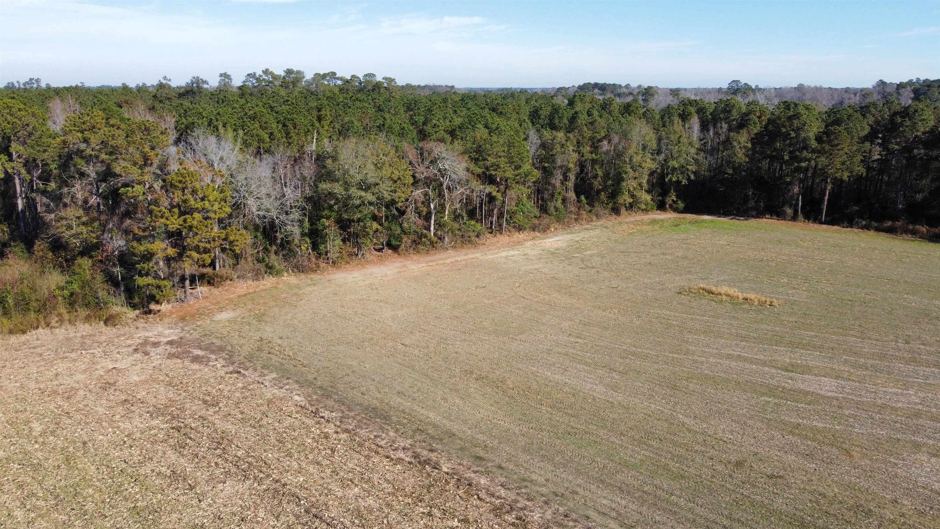 Tbd Highway 917 Property Photo 3