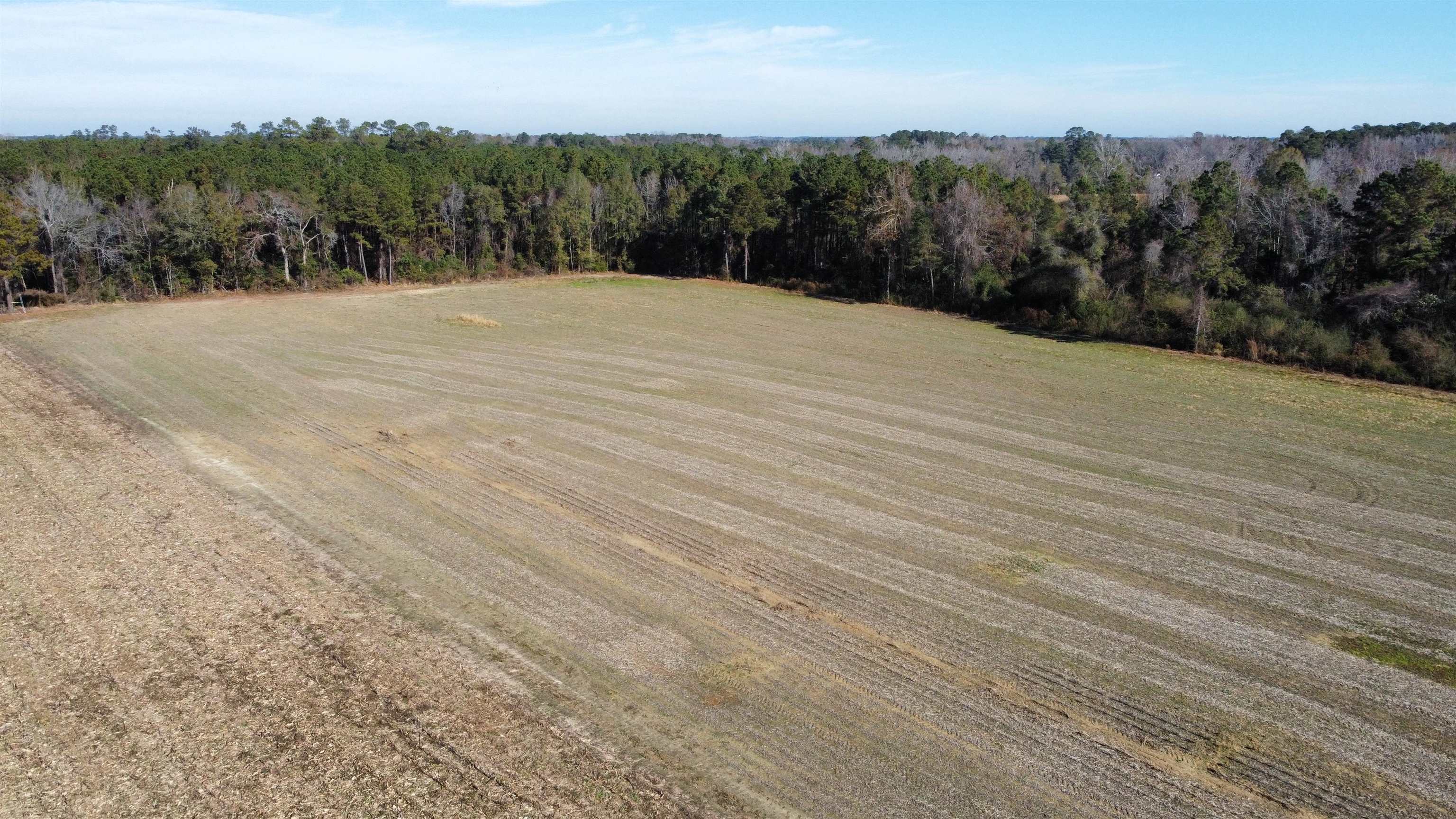 Tbd Highway 917 Property Photo 4