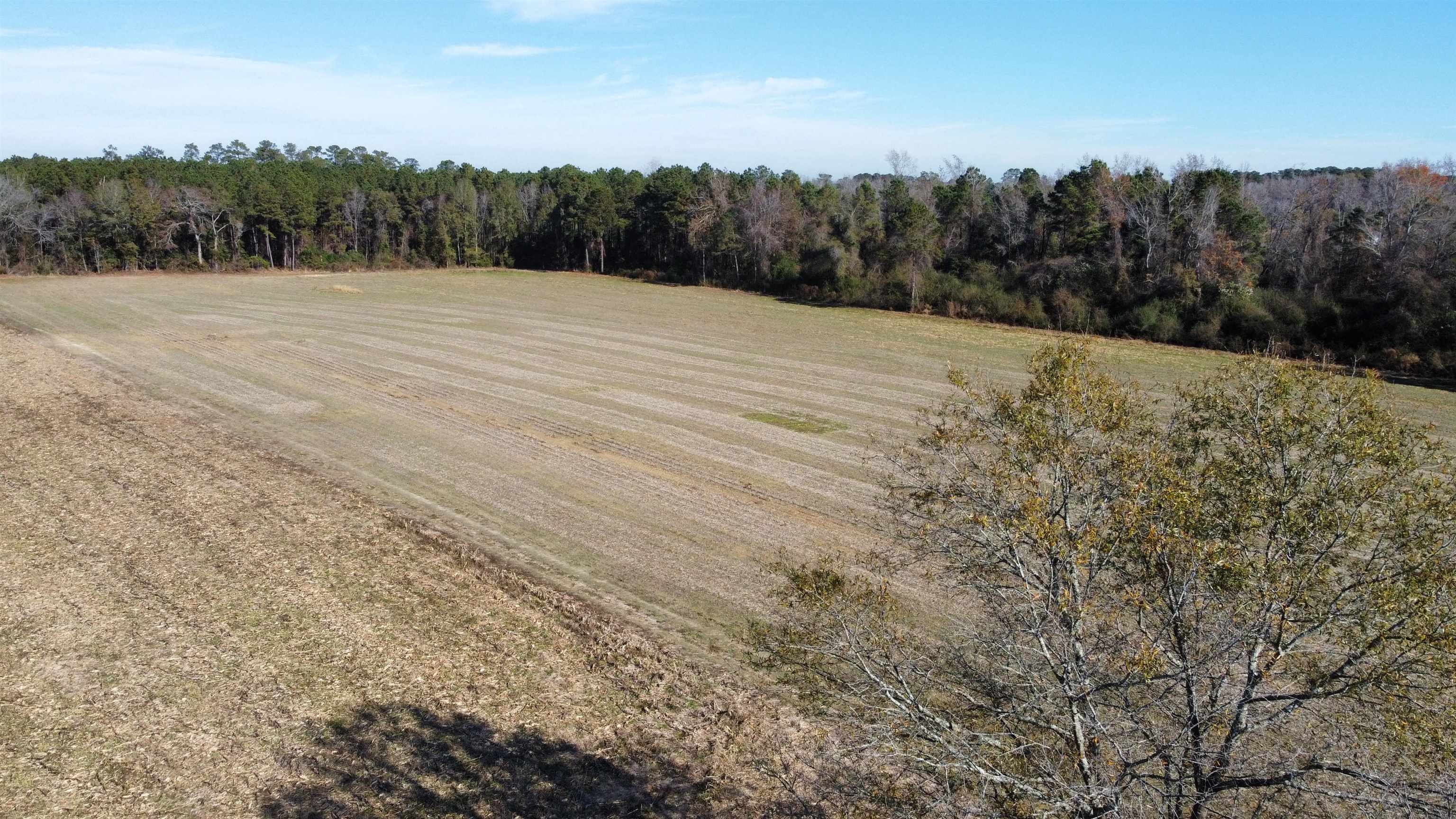 Tbd Highway 917 Property Photo 5