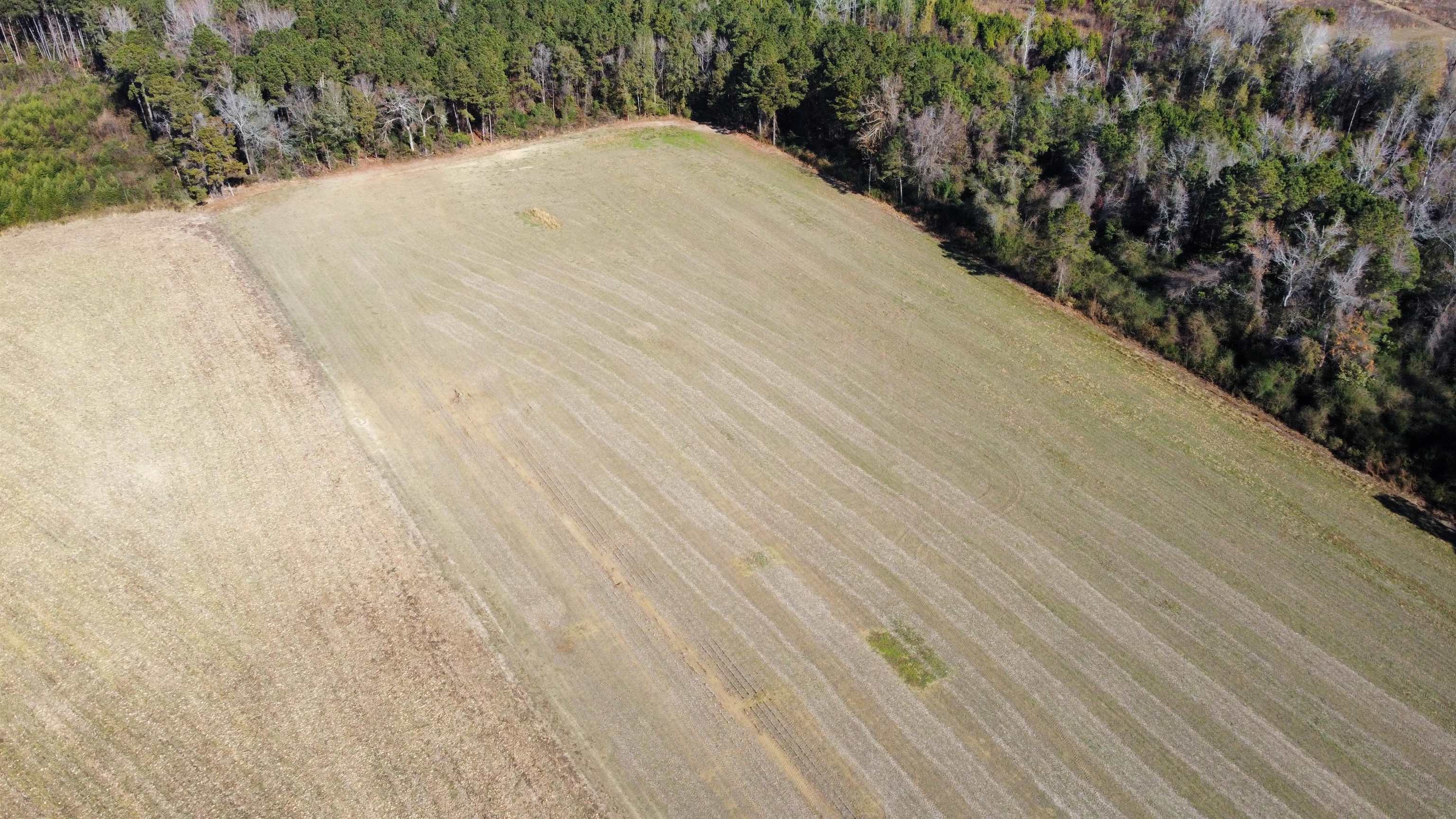 Tbd Highway 917 Property Photo 6