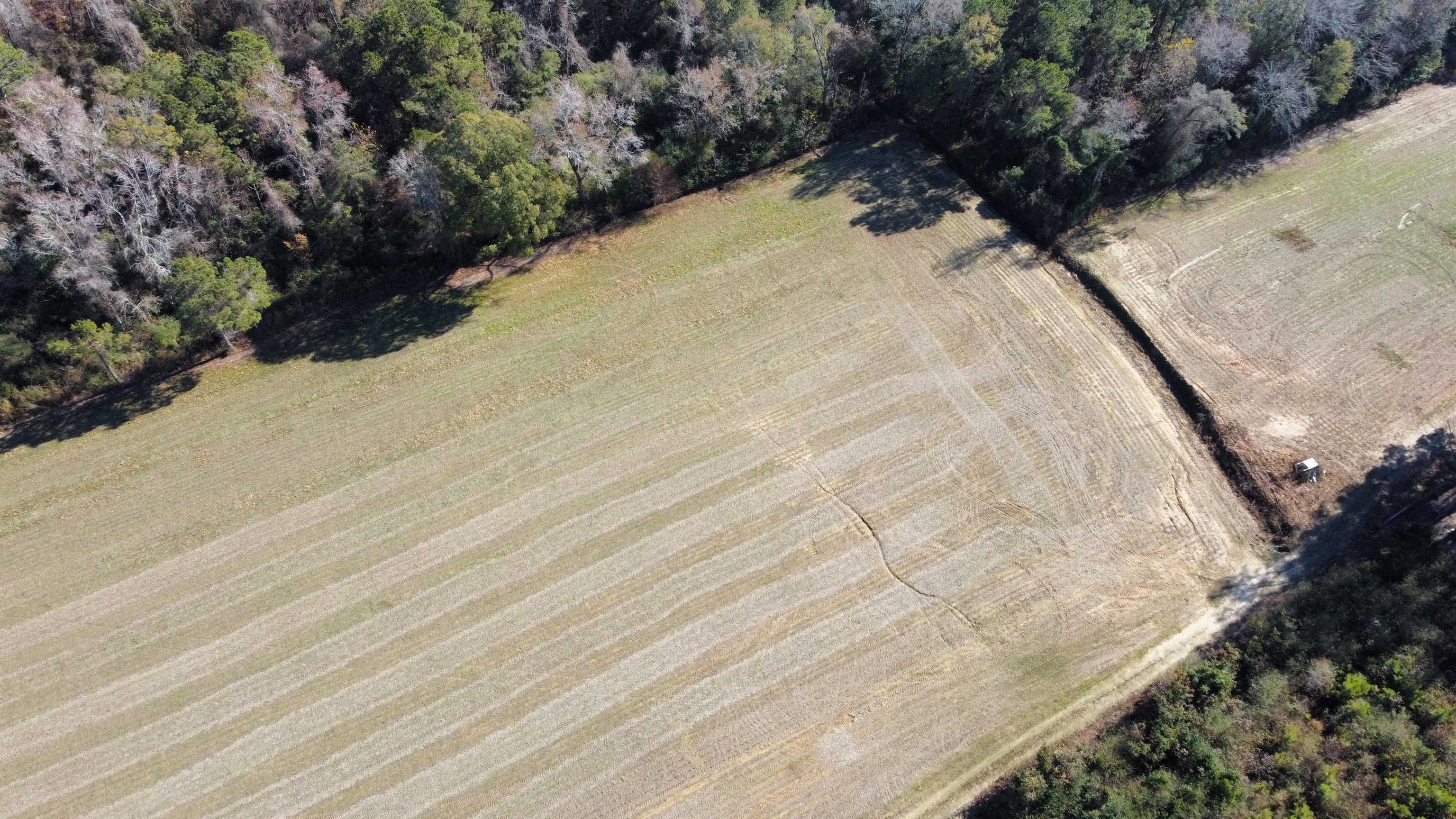 Tbd Highway 917 Property Photo 7