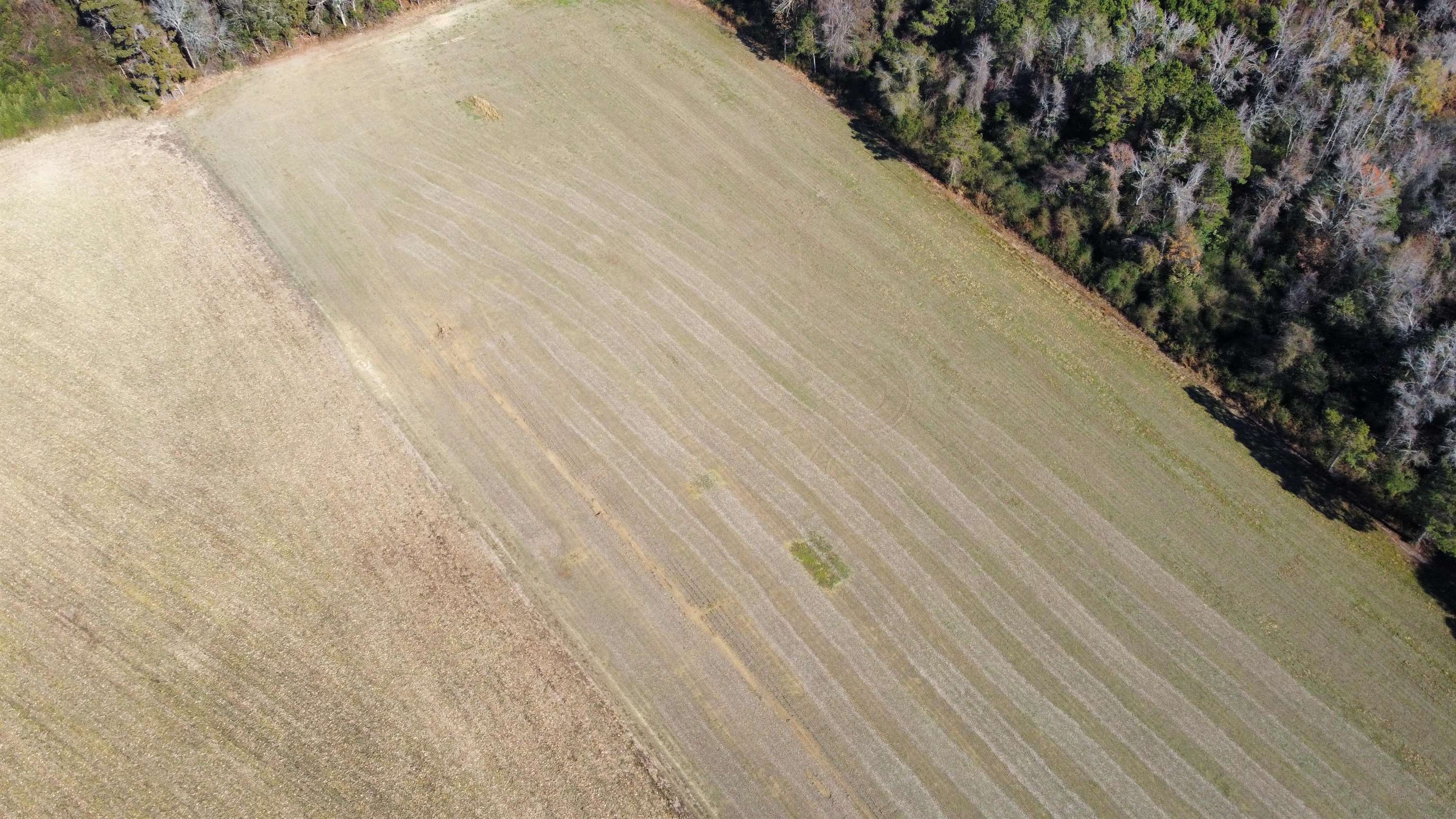 Tbd Highway 917 Property Photo 8