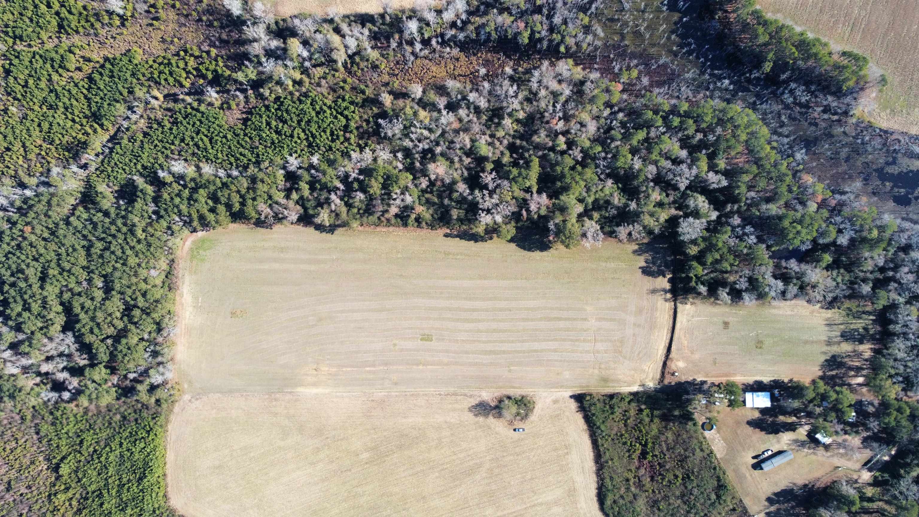 Tbd Highway 917 Property Photo 9