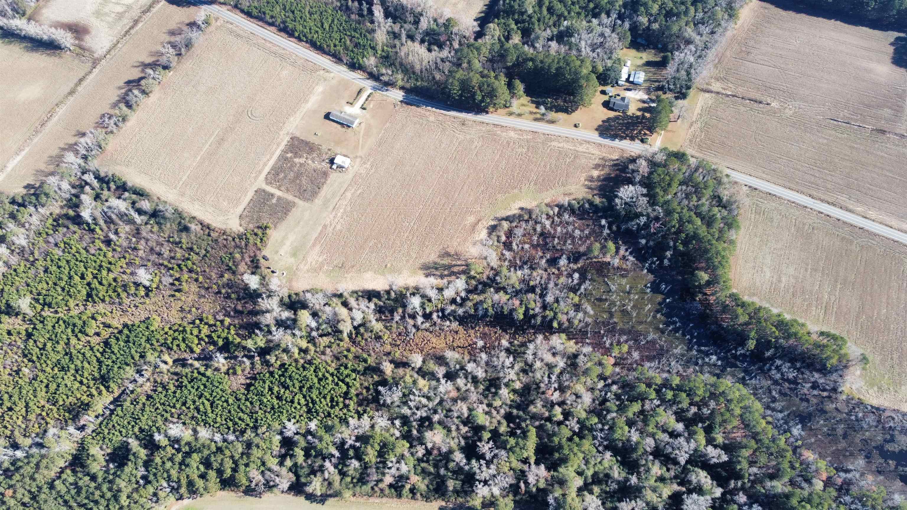 Tbd Highway 917 Property Photo 10