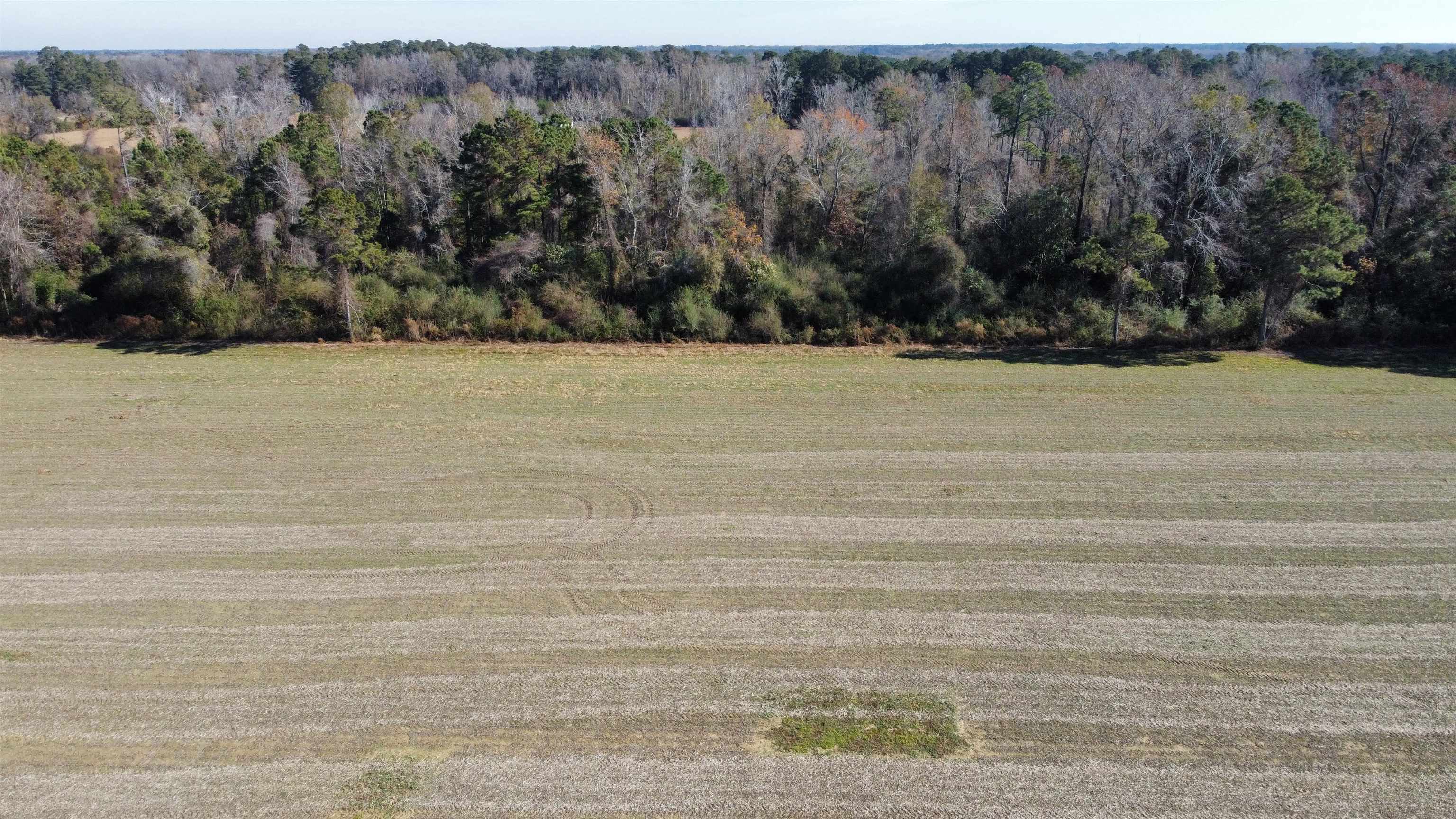 Tbd Highway 917 Property Photo 11