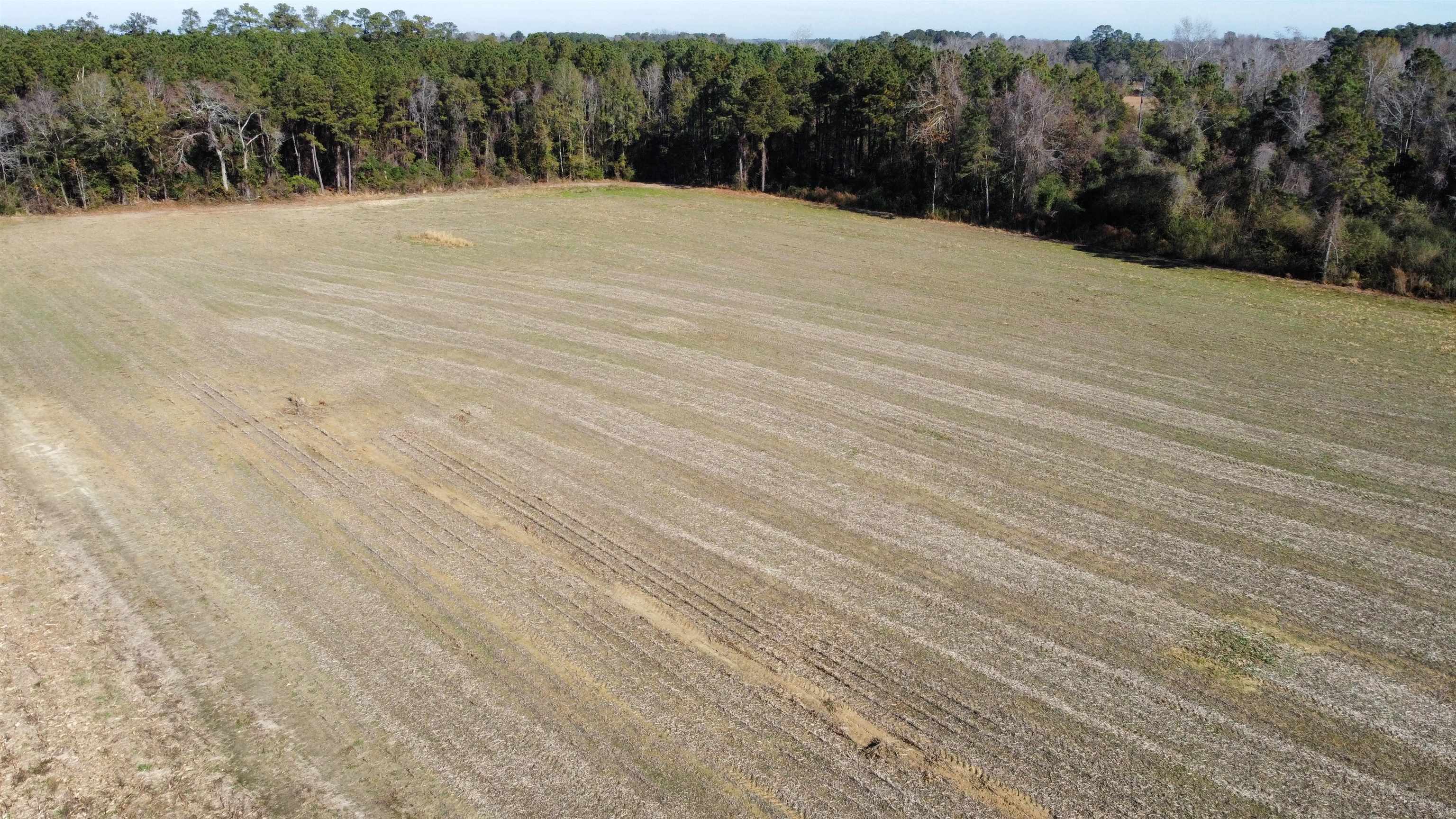Tbd Highway 917 Property Photo 12