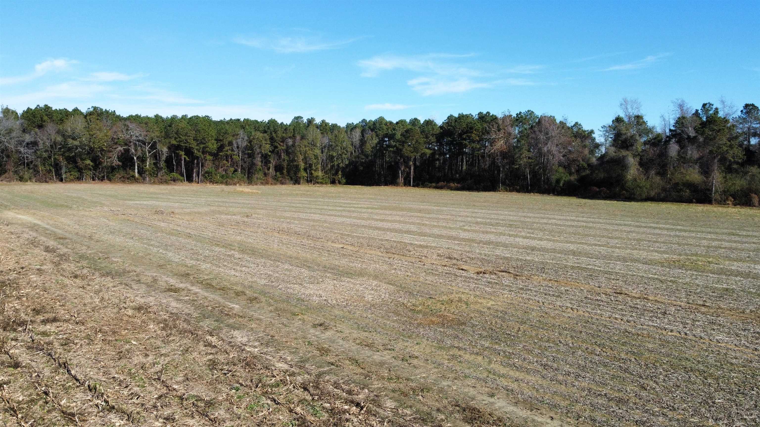 Tbd Highway 917 Property Photo 13
