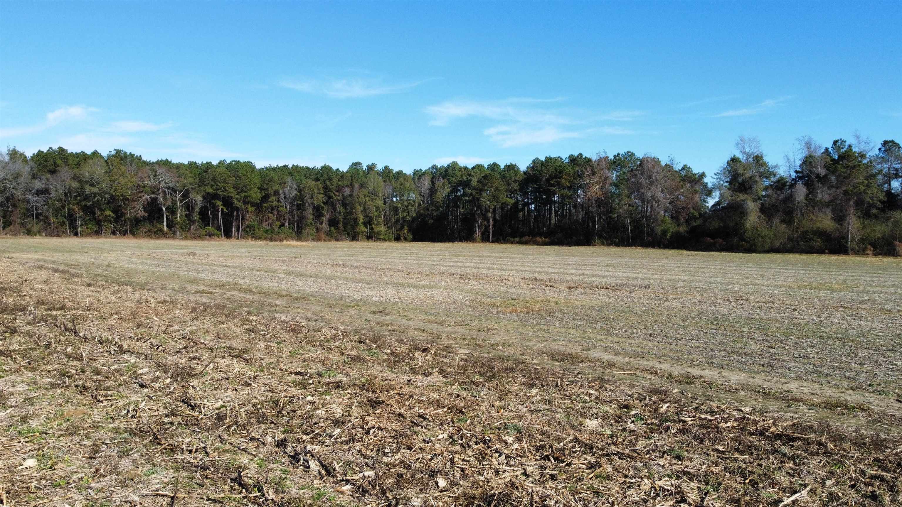 Tbd Highway 917 Property Photo 14