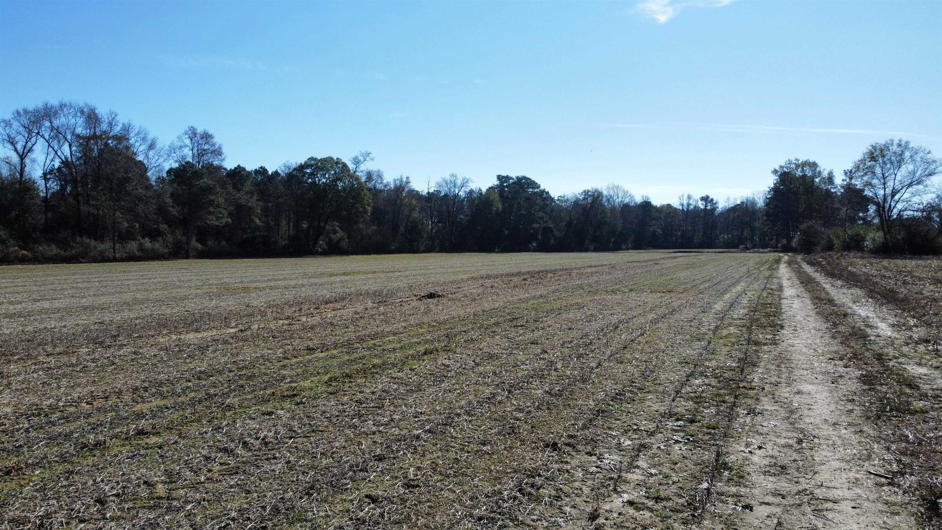 Tbd Highway 917 Property Photo 15