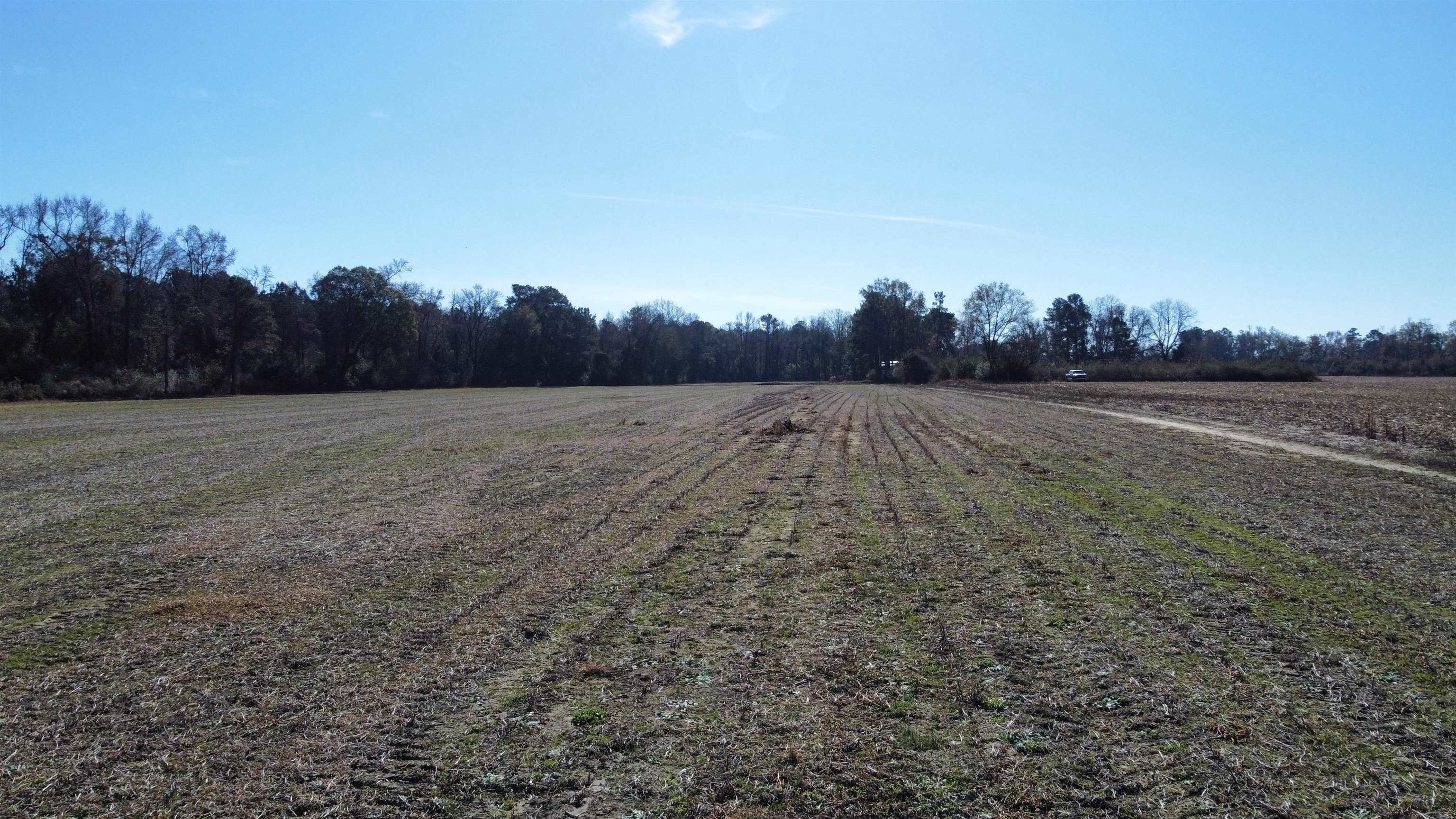 Tbd Highway 917 Property Photo 16