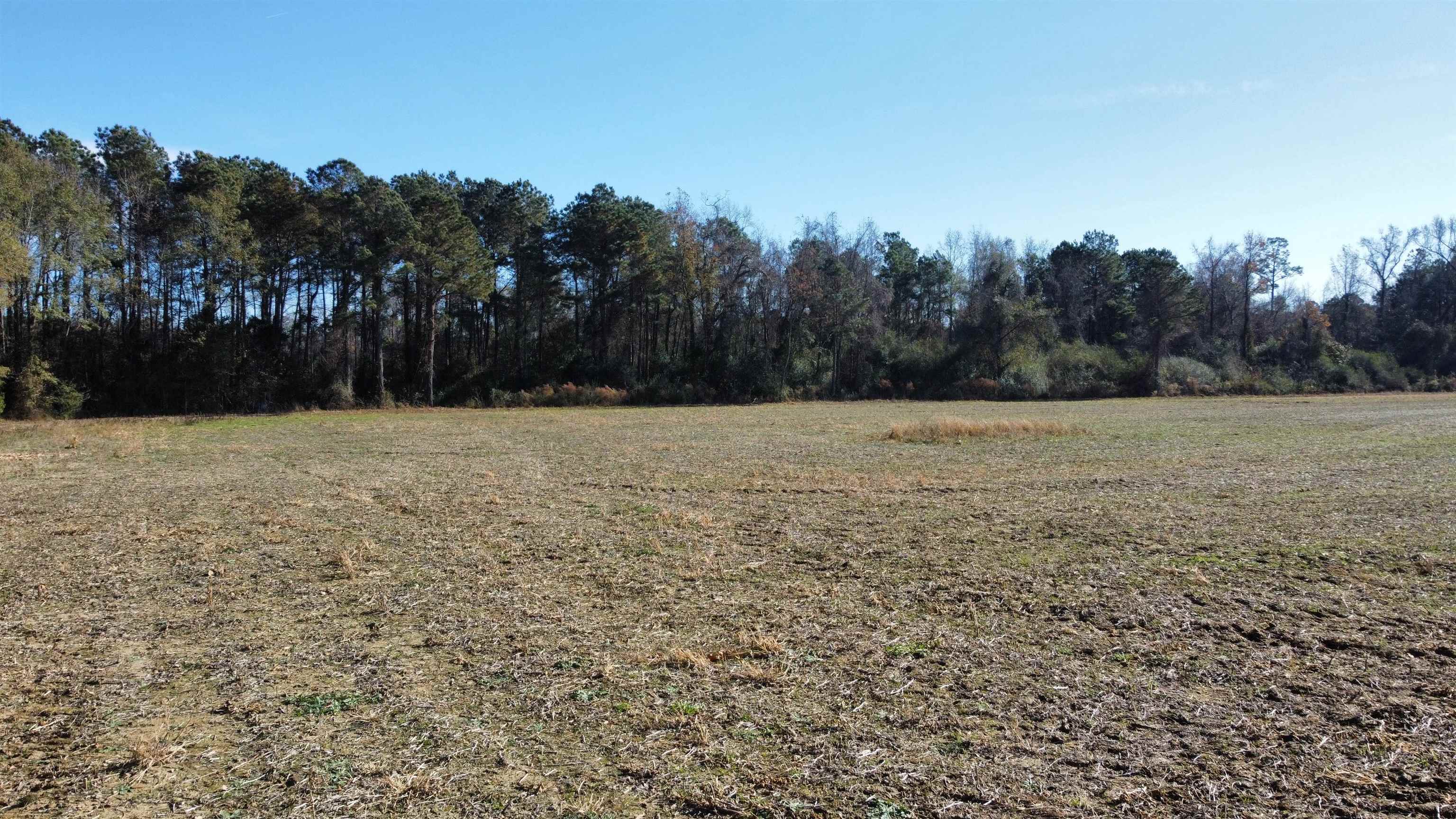 Tbd Highway 917 Property Photo 17