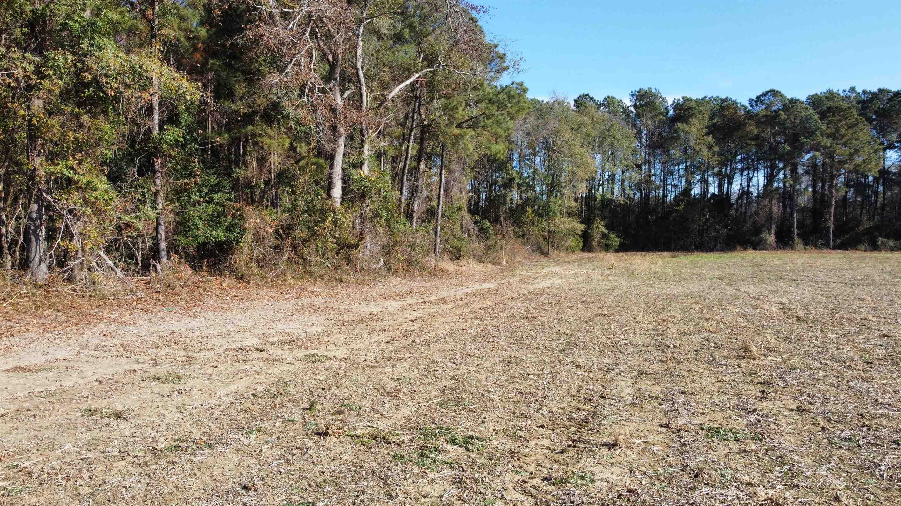 Tbd Highway 917 Property Photo 18
