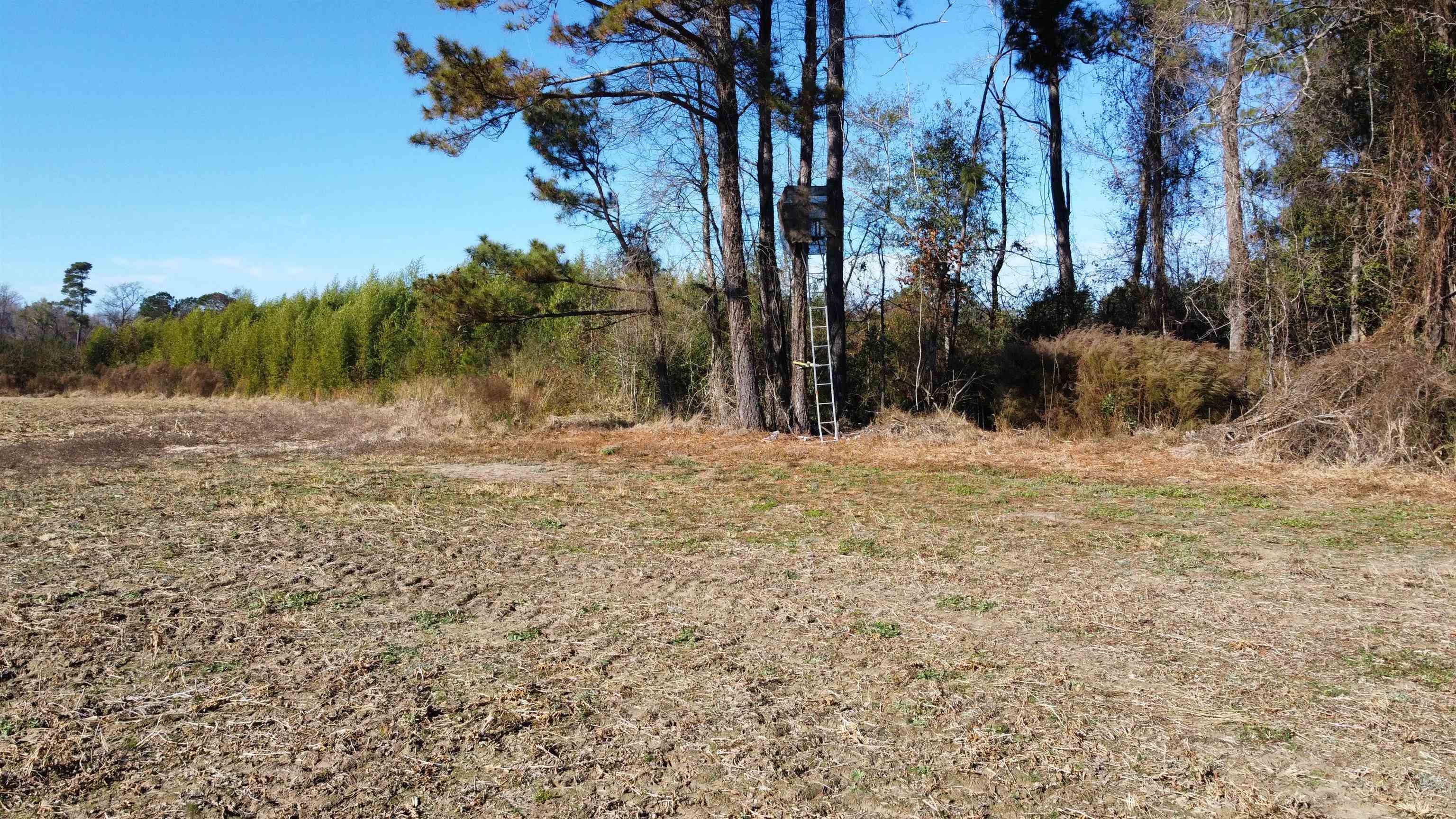 Tbd Highway 917 Property Photo 19