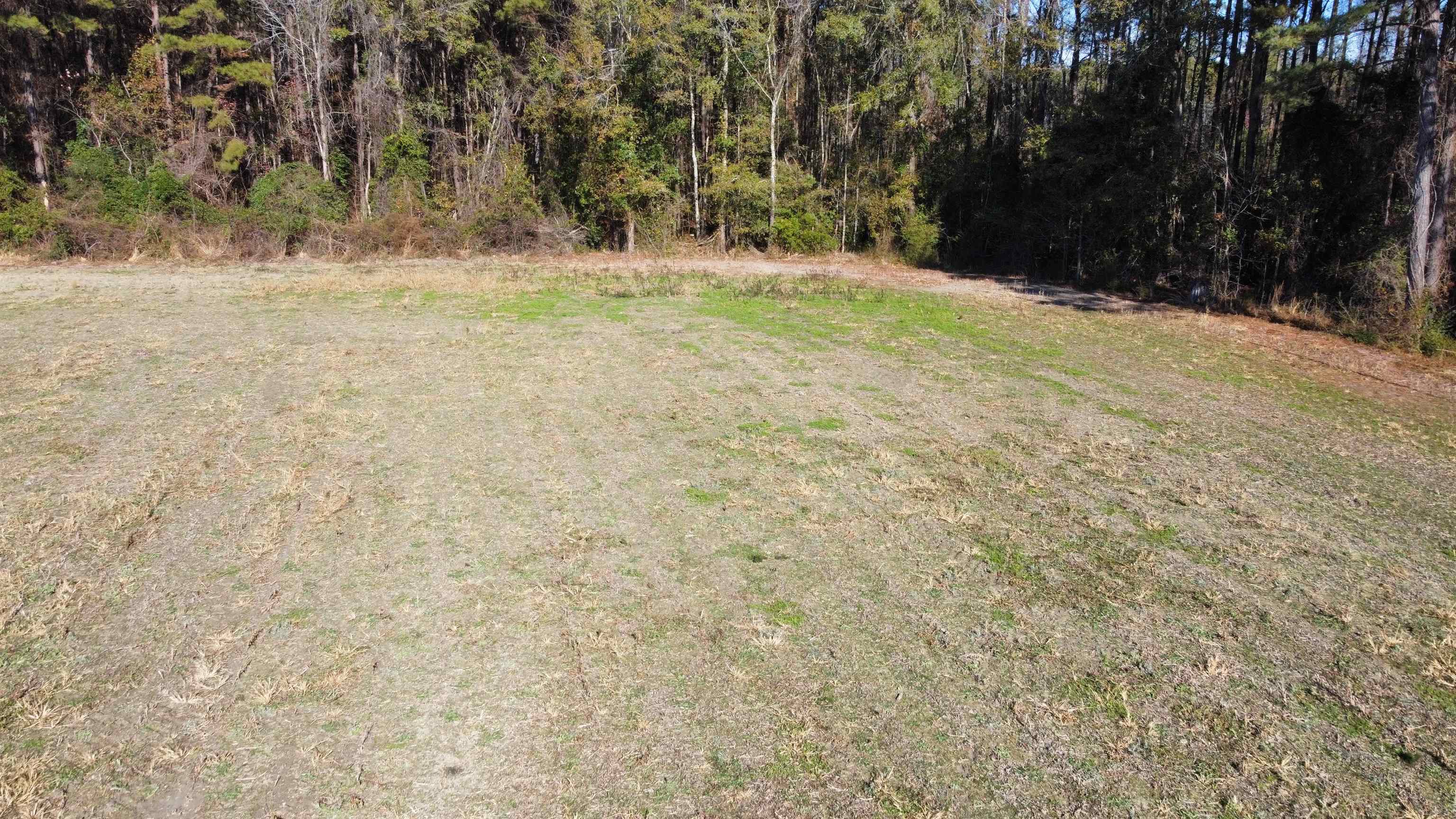 Tbd Highway 917 Property Photo 20