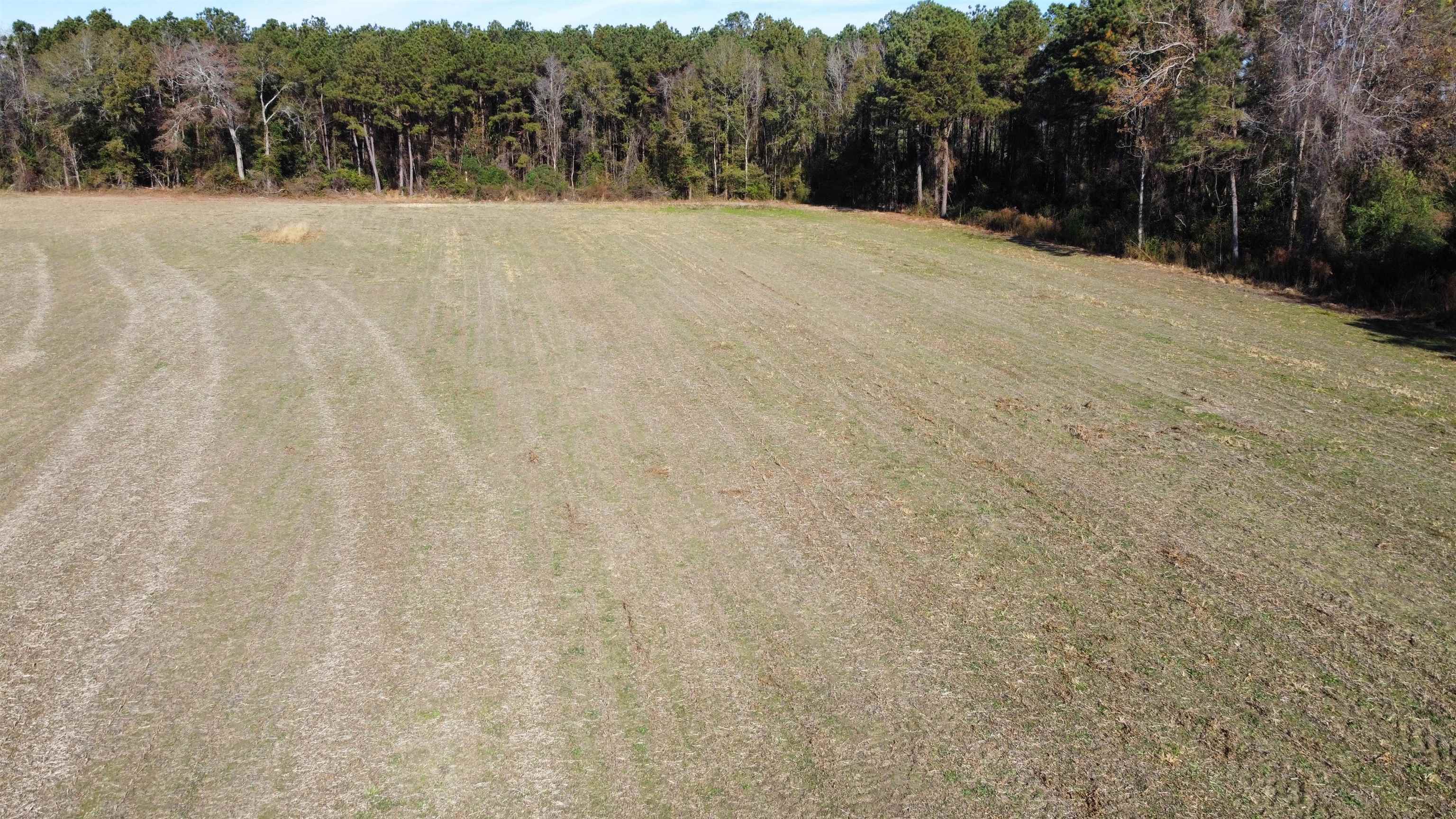 Tbd Highway 917 Property Photo 21