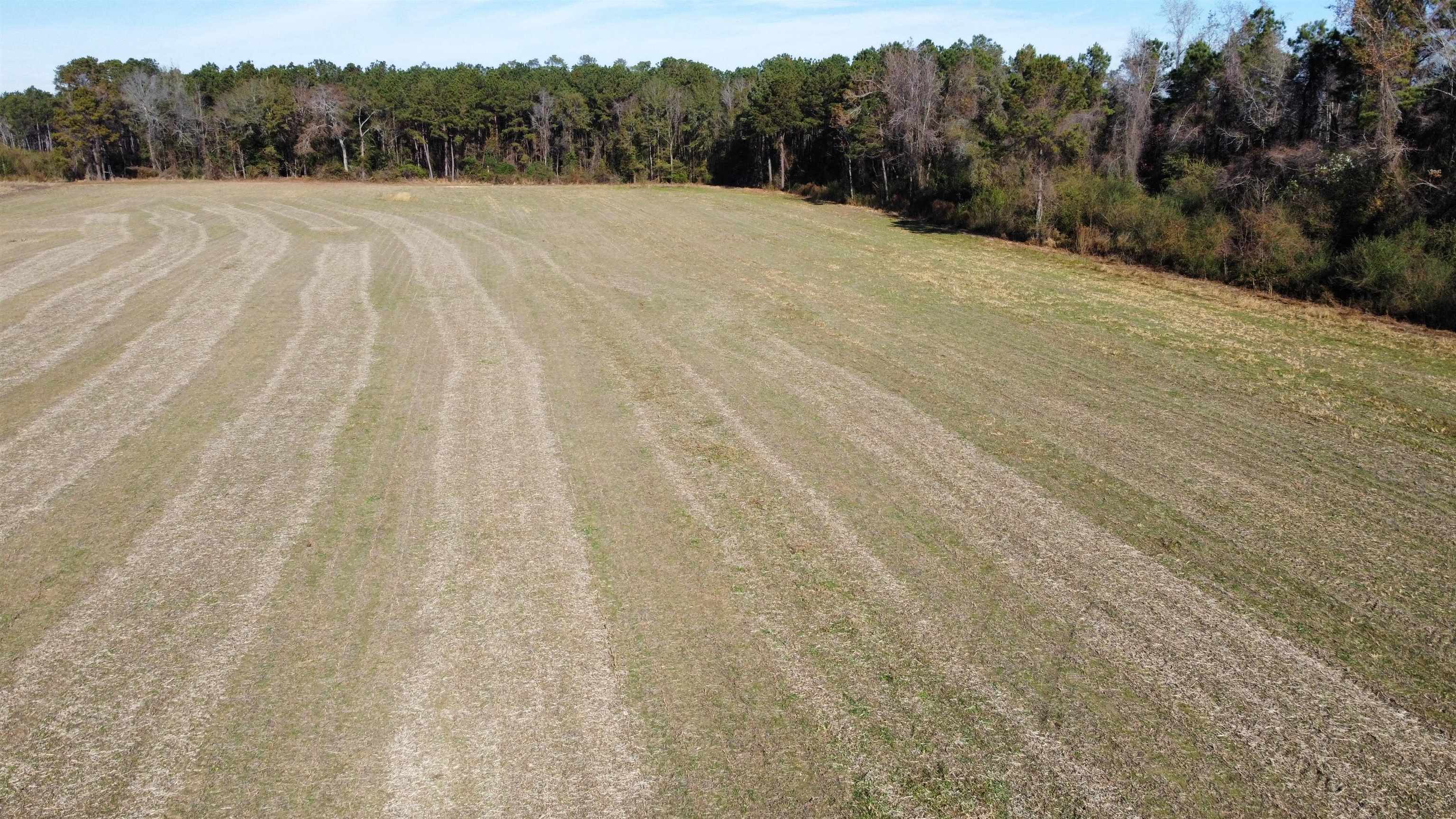 Tbd Highway 917 Property Photo 22