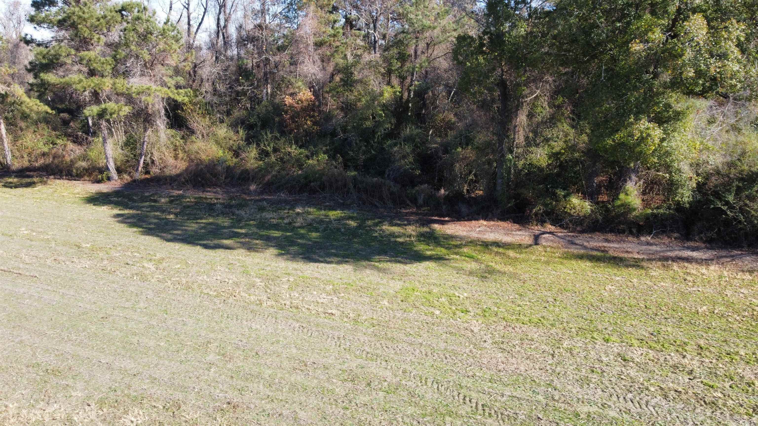 Tbd Highway 917 Property Photo 23