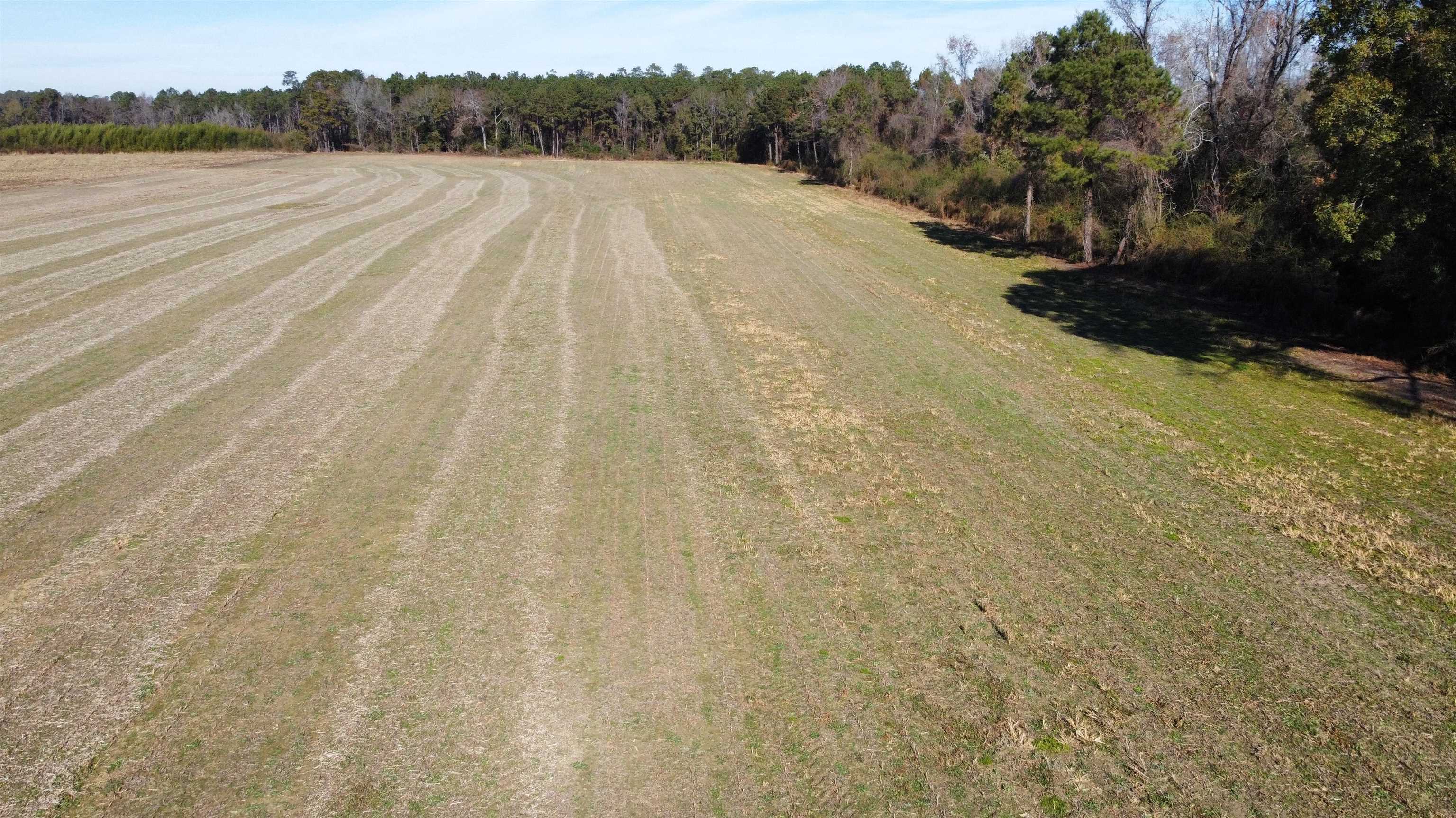 Tbd Highway 917 Property Photo 24