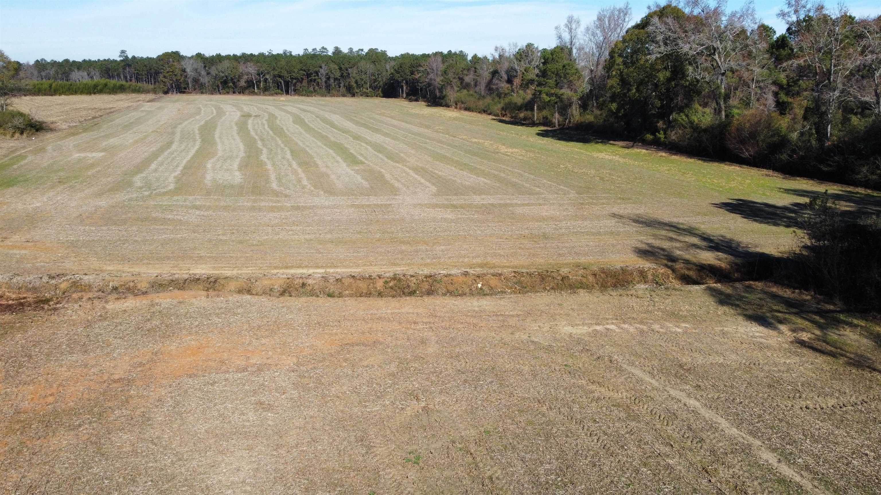 Tbd Highway 917 Property Photo 25