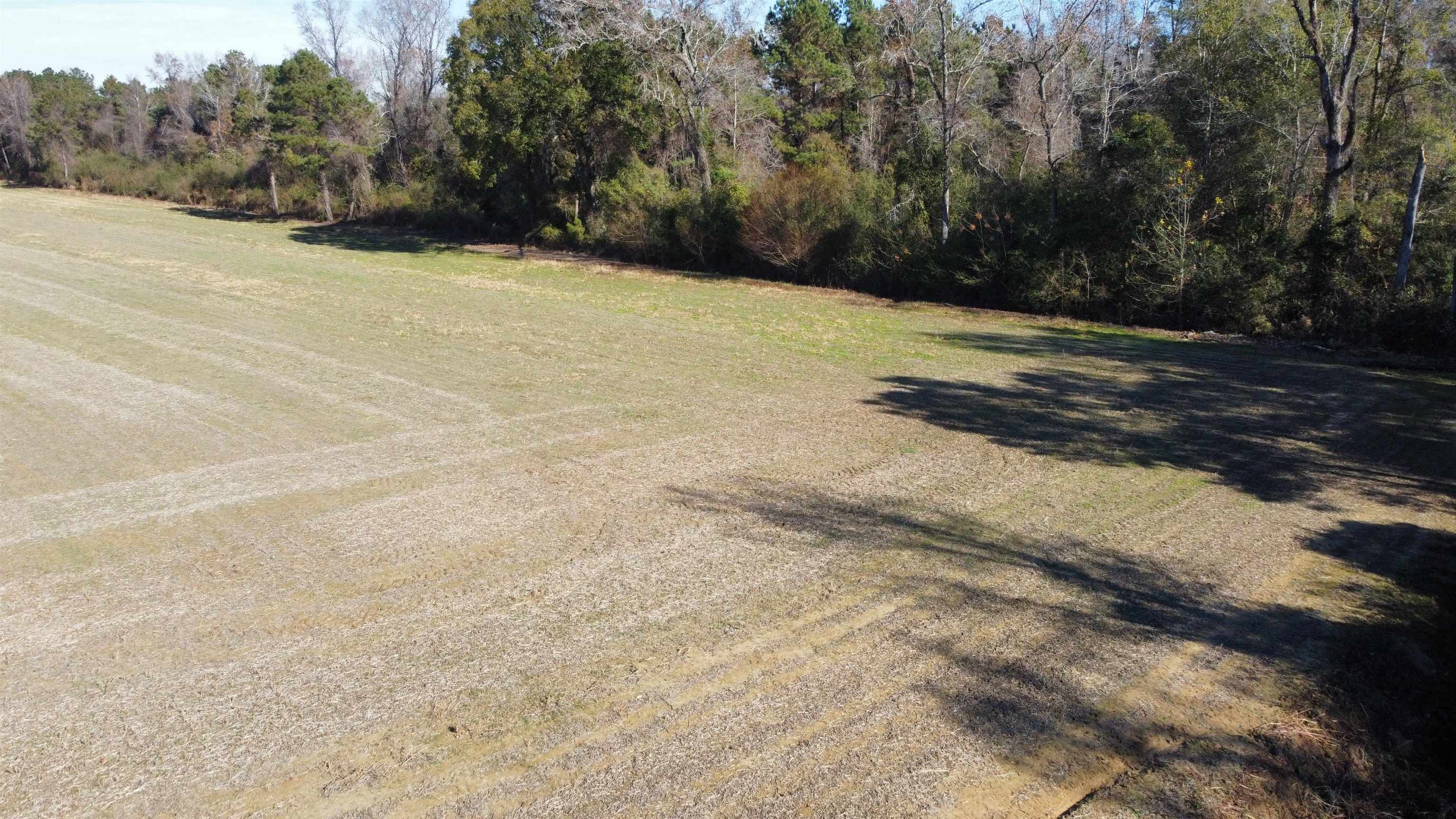 Tbd Highway 917 Property Photo 27
