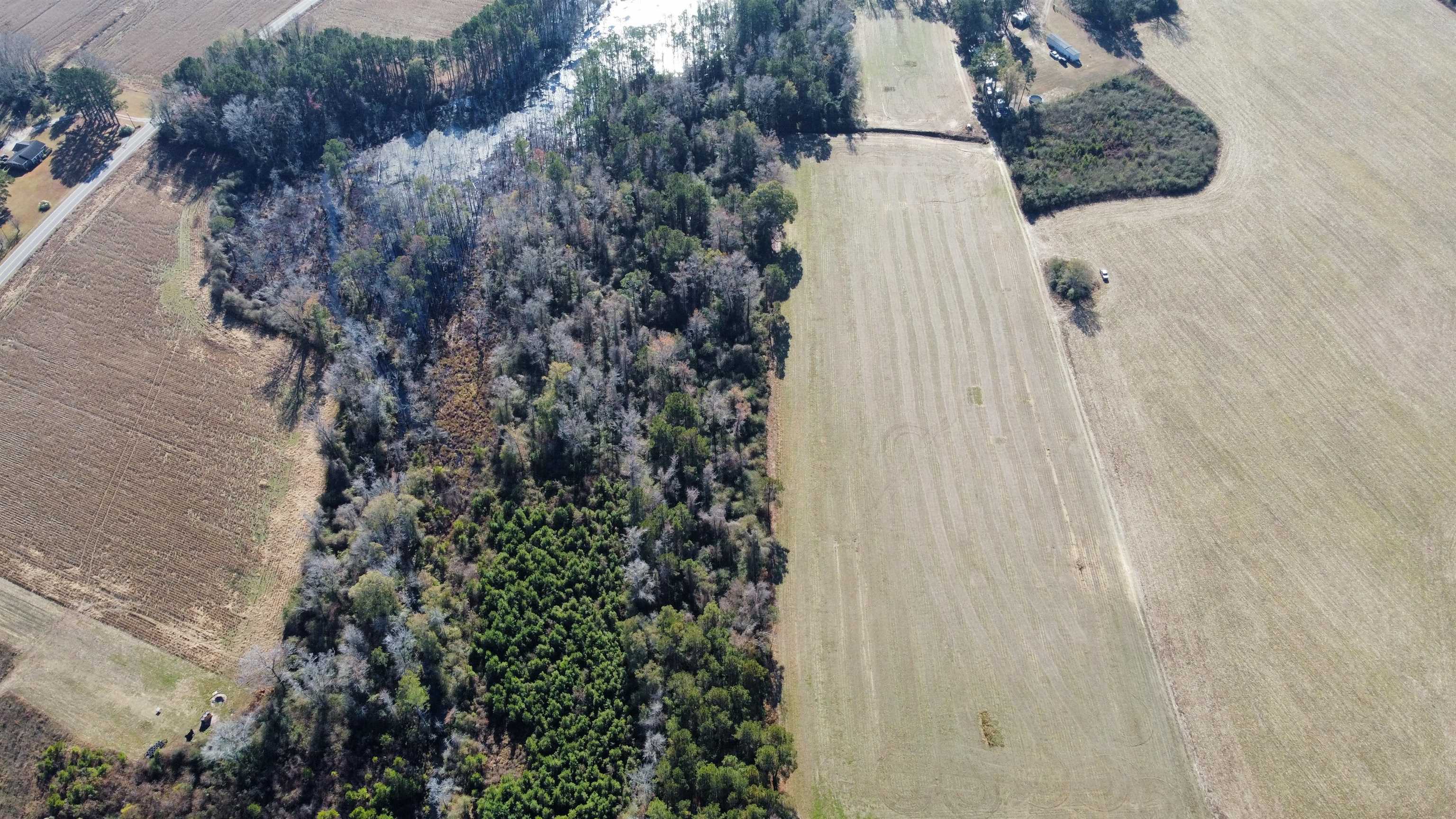 Tbd Highway 917 Property Photo 28