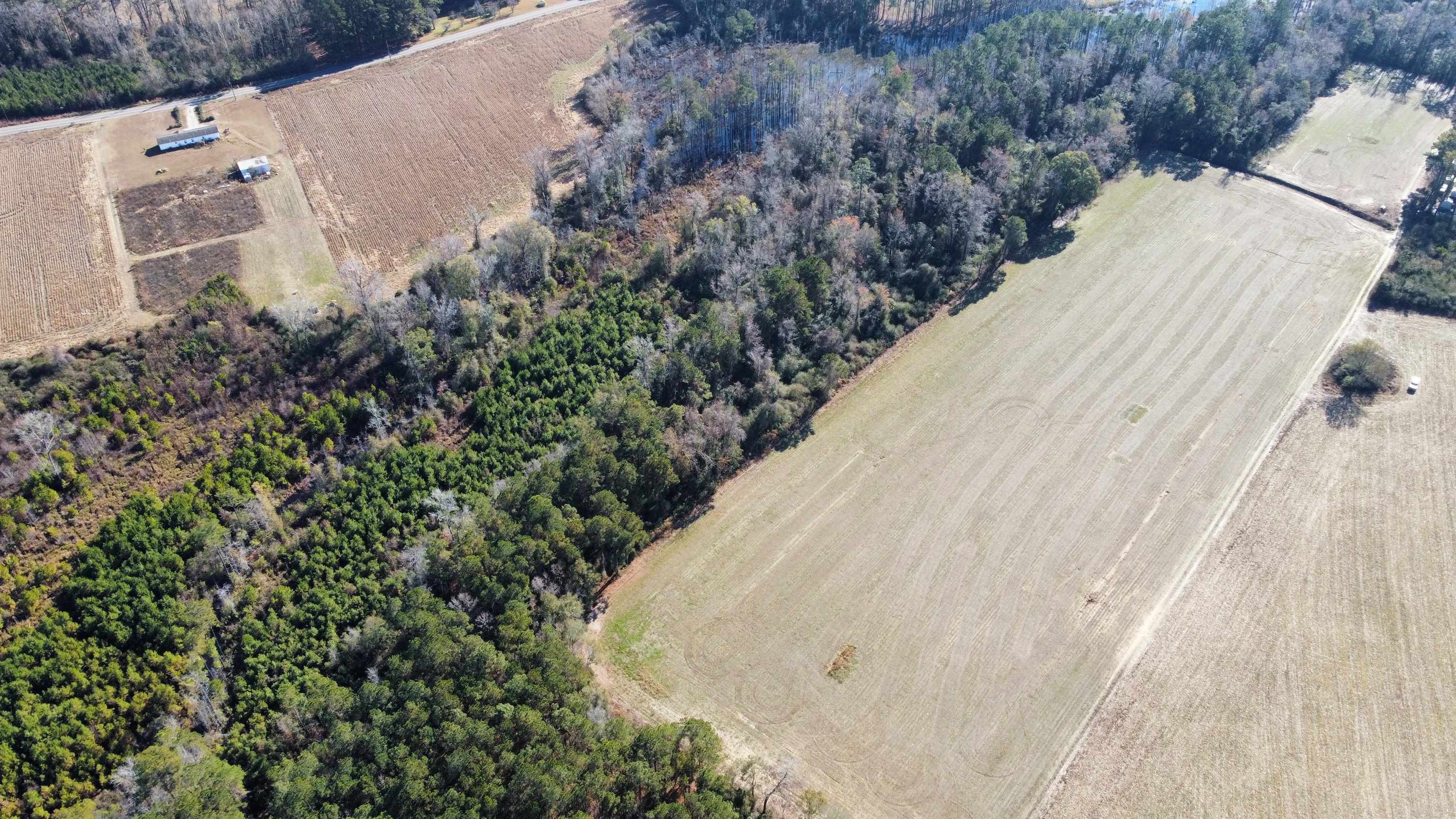 Tbd Highway 917 Property Photo 29