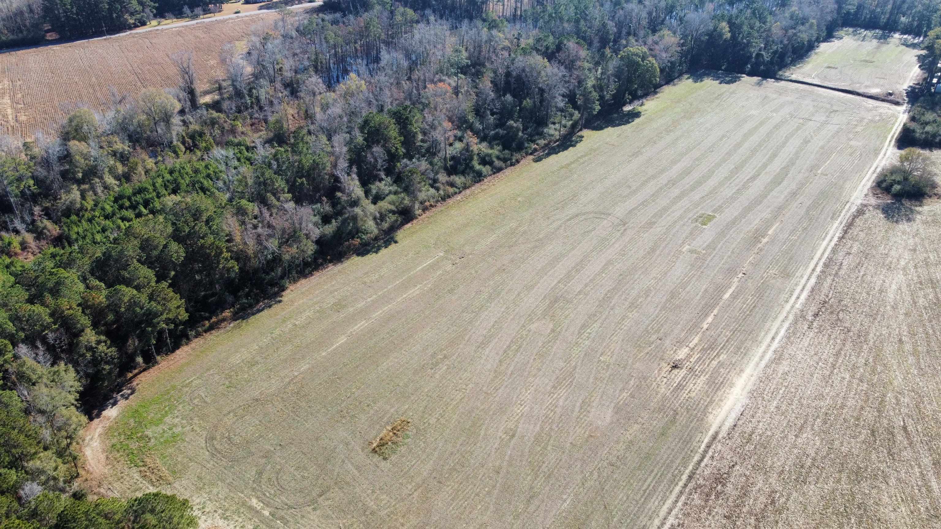 Tbd Highway 917 Property Photo 30