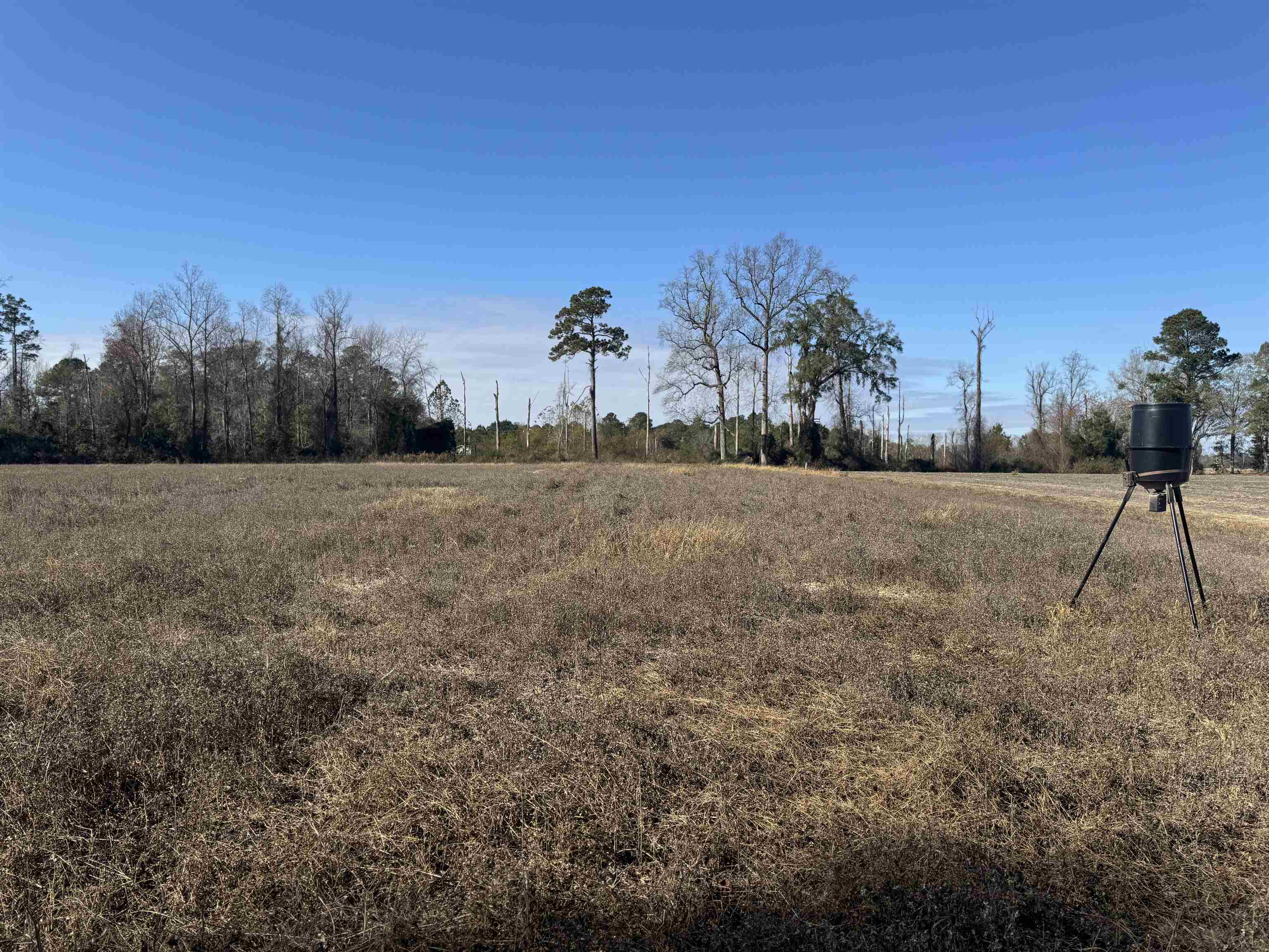 Tbd Beth Dr. Property Photo 20