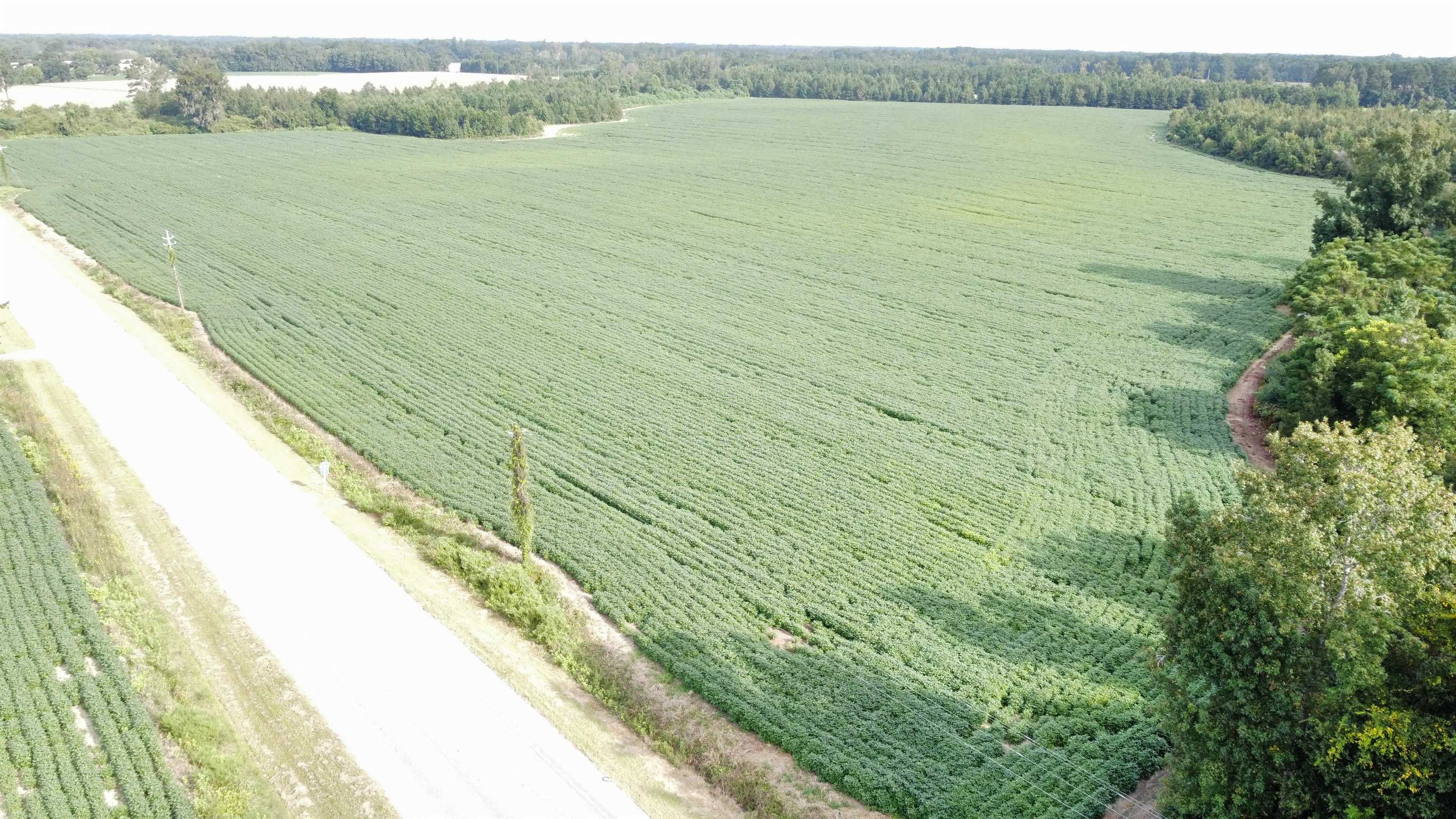 Tbd Hwy 9 Property Photo 1