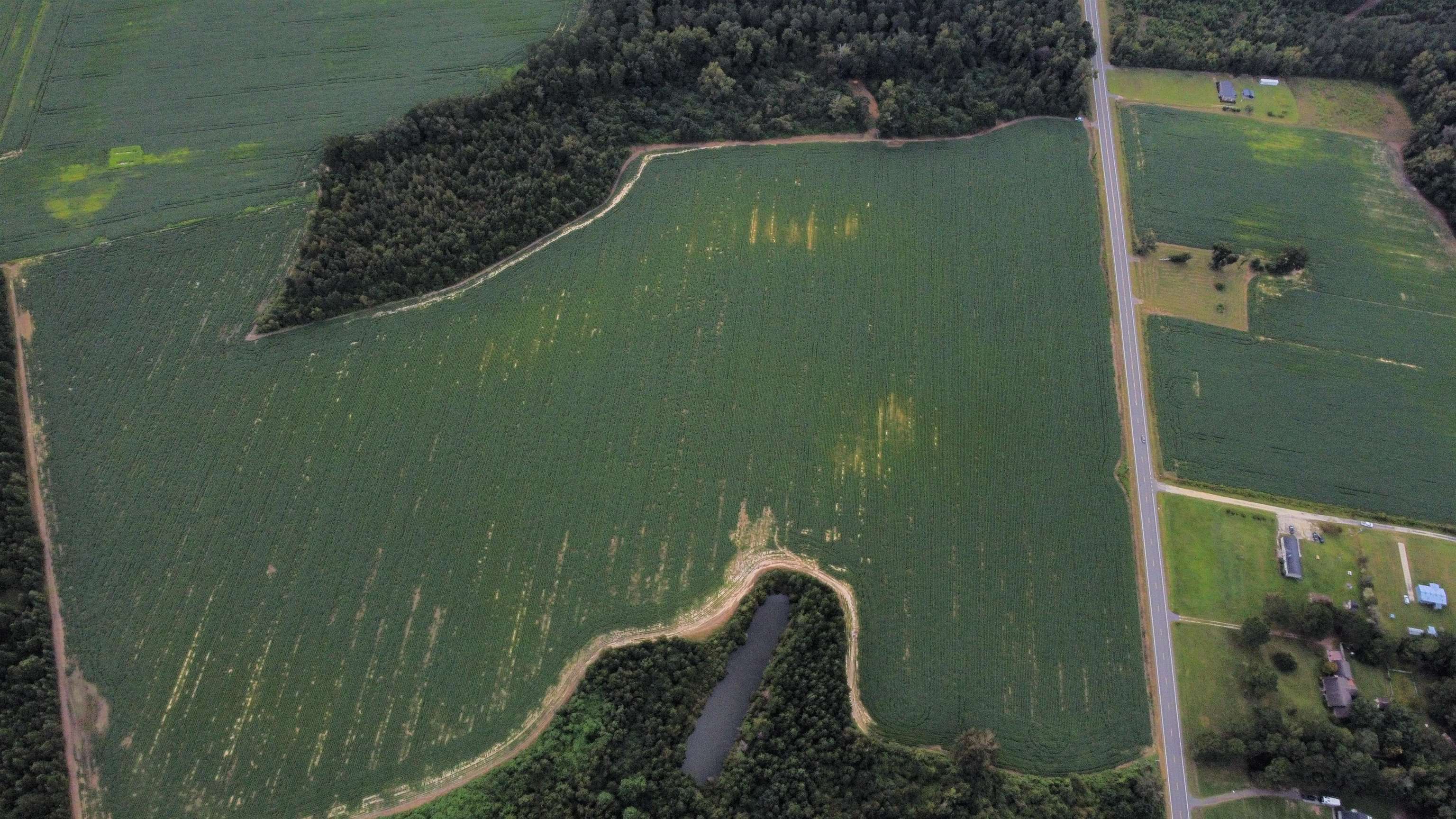 Tbd Hwy 9 Property Photo 5