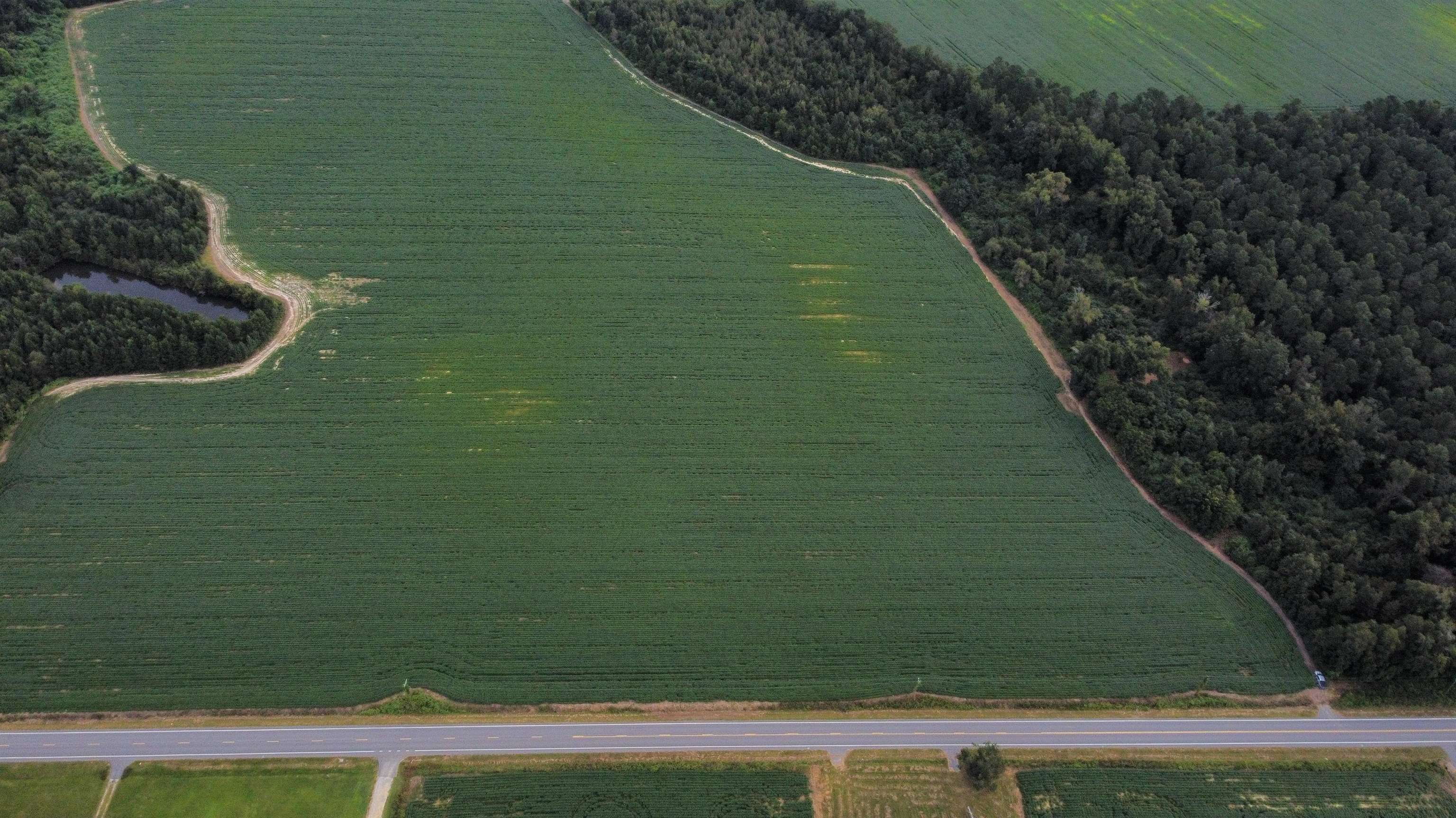 Tbd Hwy 9 Property Photo 7
