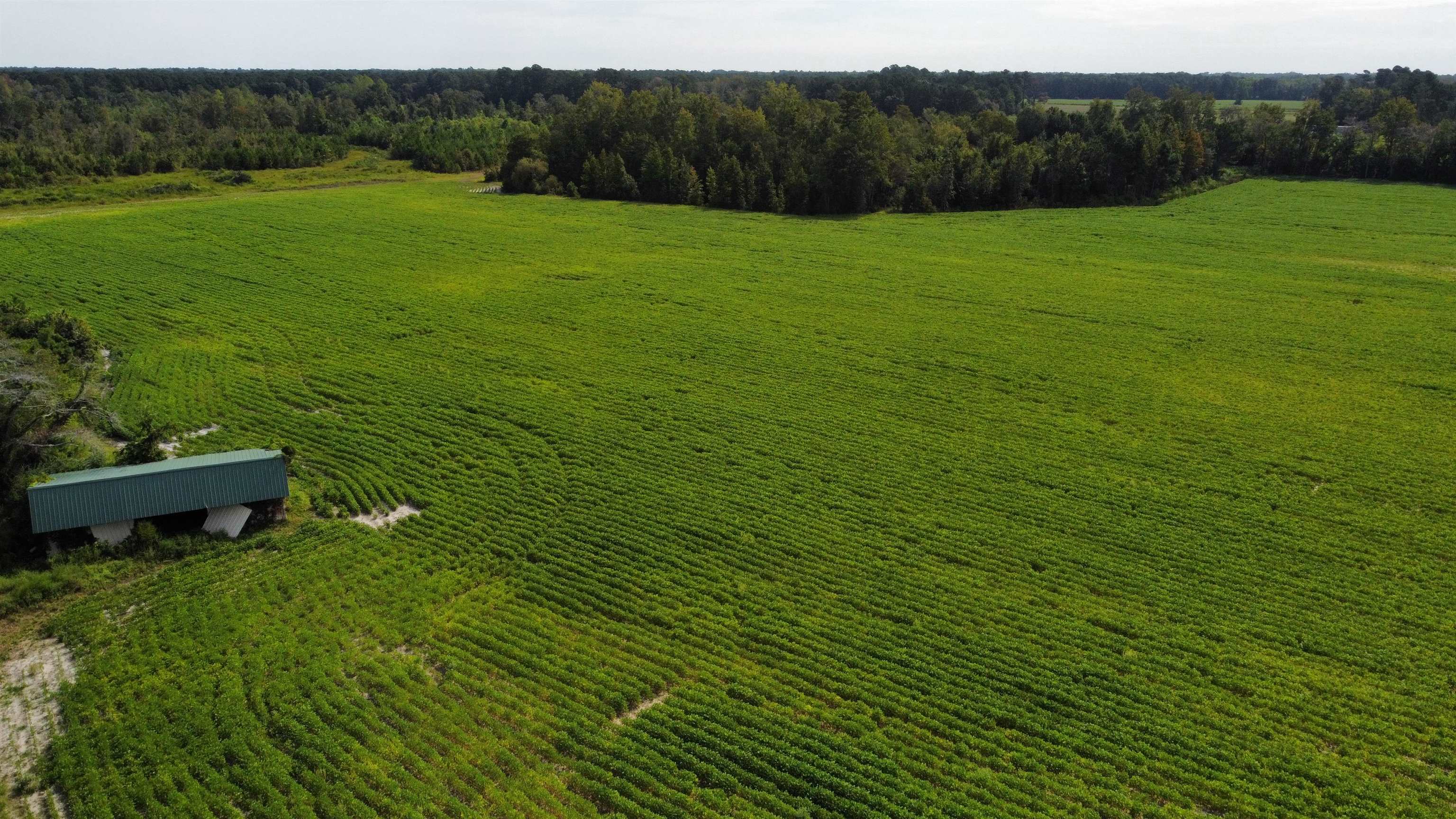 Tbd Hwy 9 Property Photo 10