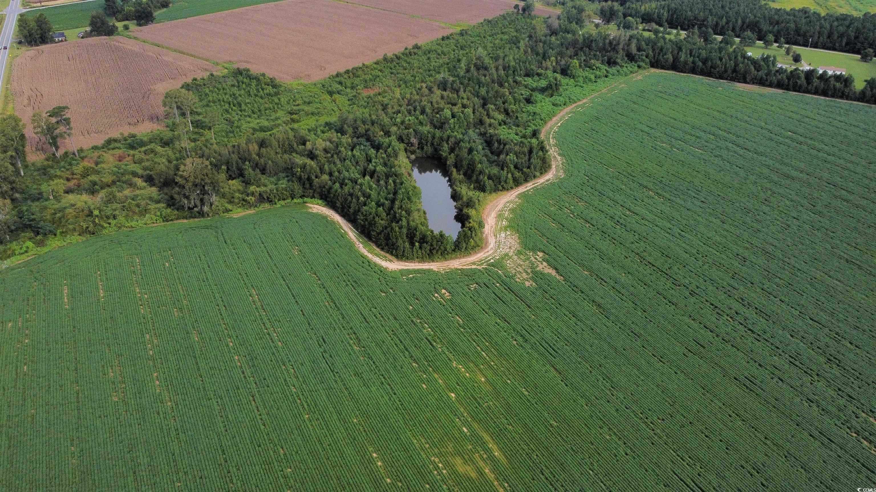 Tbd Hwy 9 Property Photo 12
