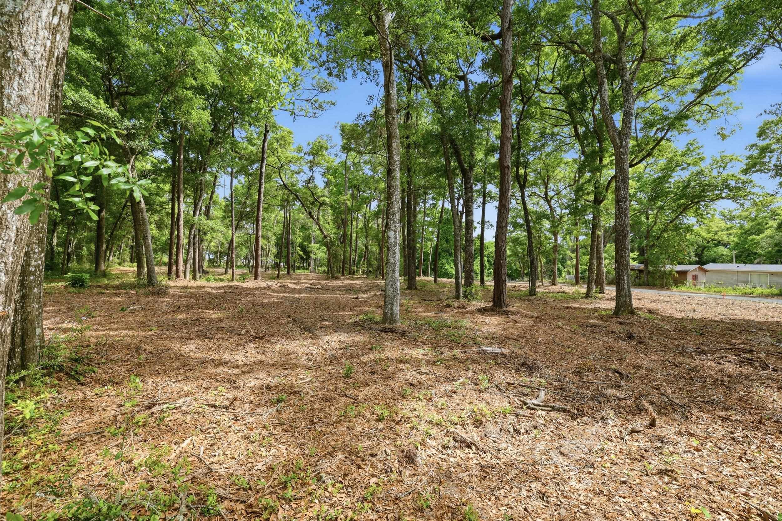 1424 Jacks Circle Rd. Property Photo 6