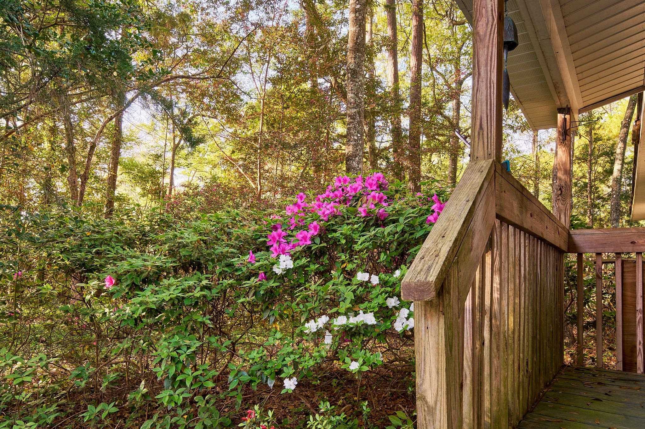 2228 Vereen Circle Property Photo 5