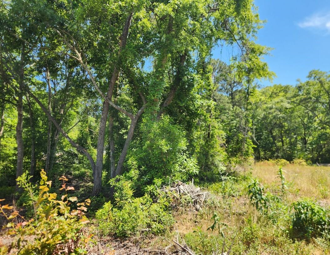 9 Ditch Digger Ln. Property Photo 1