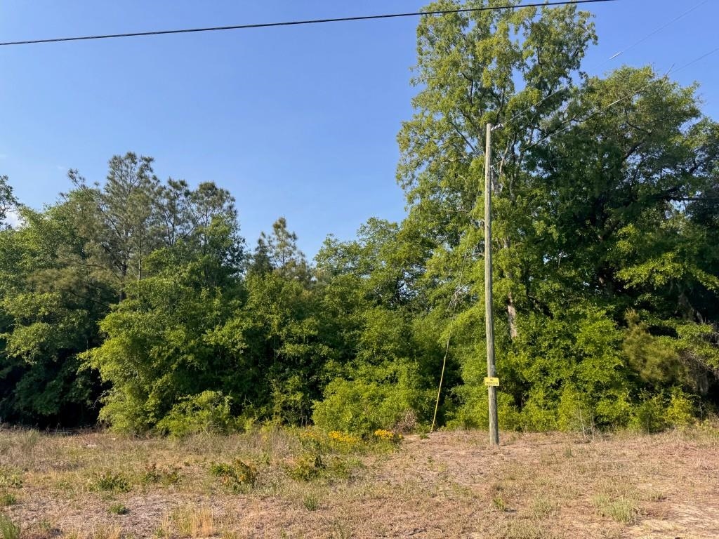 2716 W Highway 378 Hannah Property Photo 2