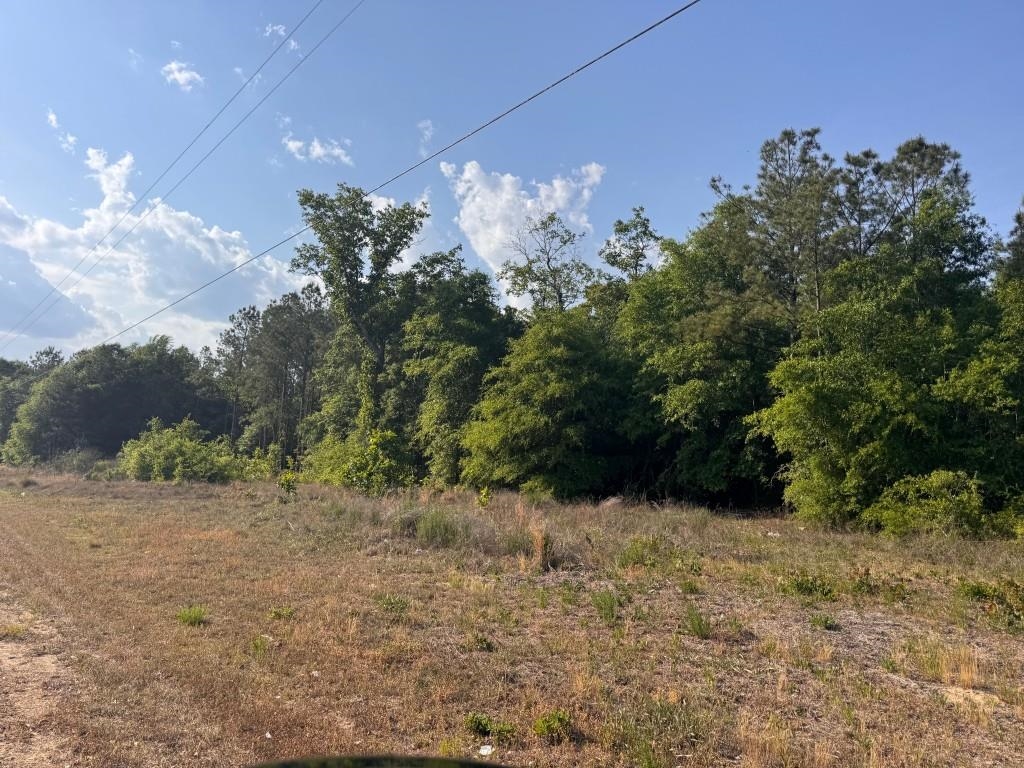 2716 W Highway 378 Hannah Property Photo 3