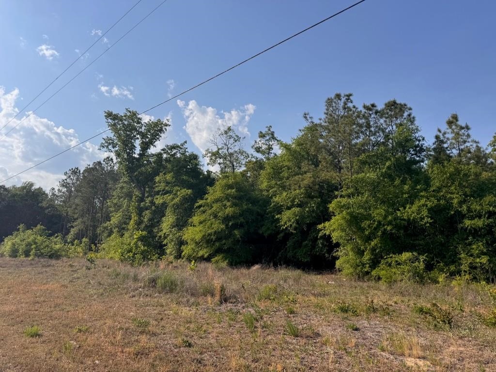 2716 W Highway 378 Hannah Property Photo 5