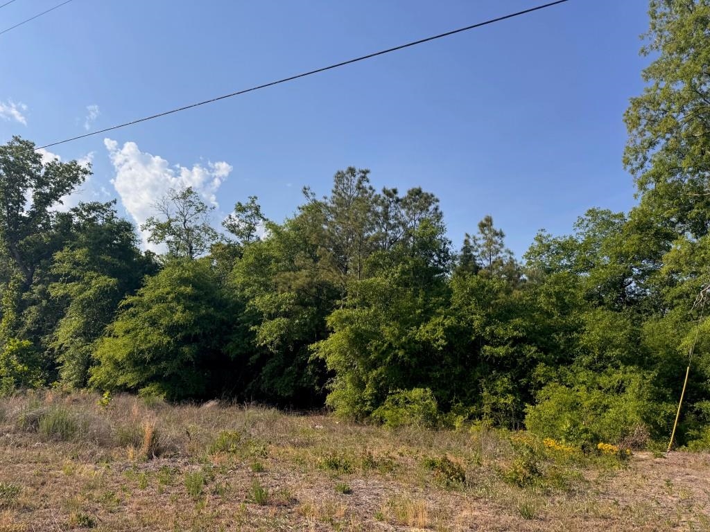 2716 W Highway 378 Hannah Property Photo 6