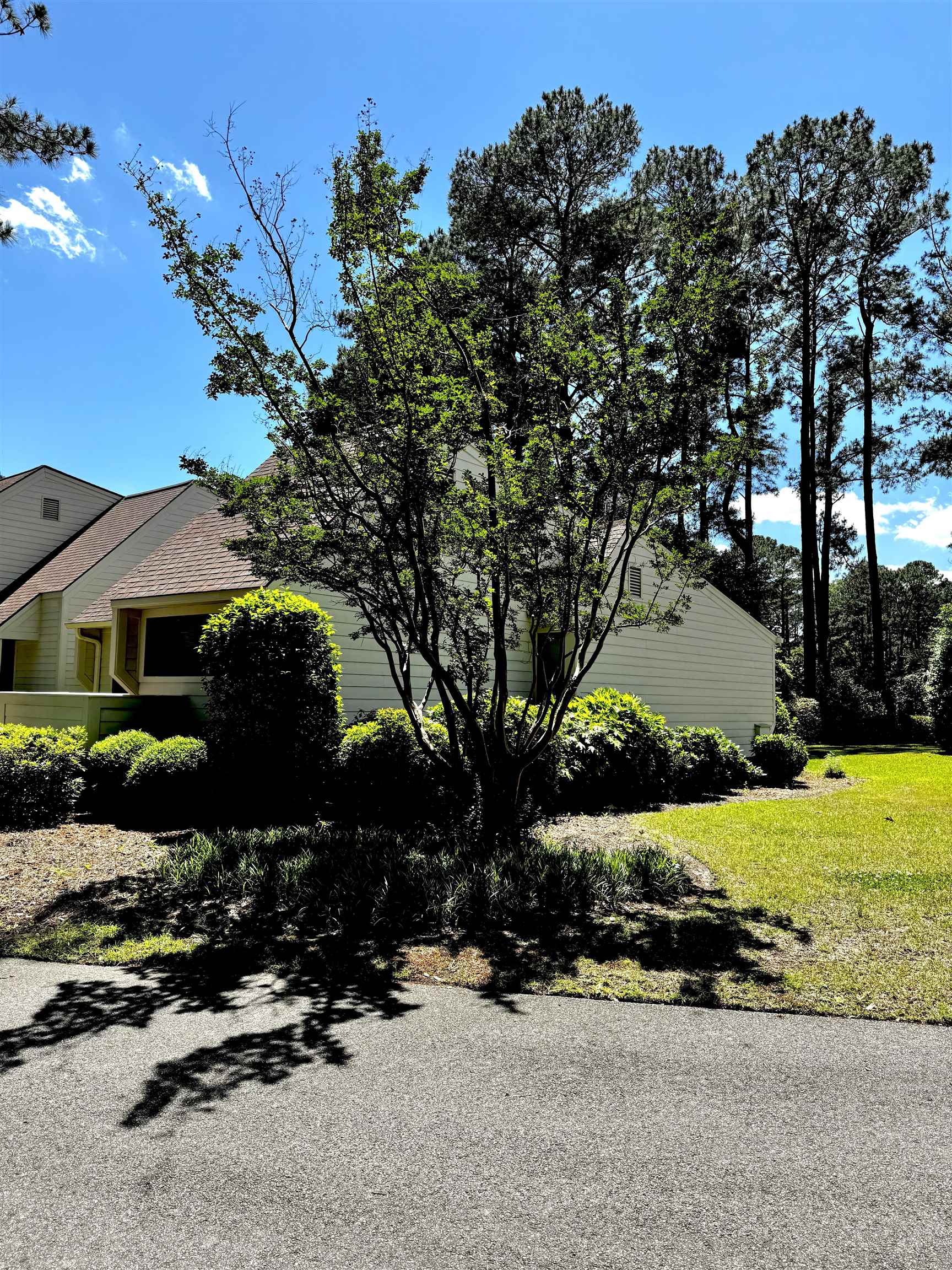 194 Tall Pines Way Property Photo 4