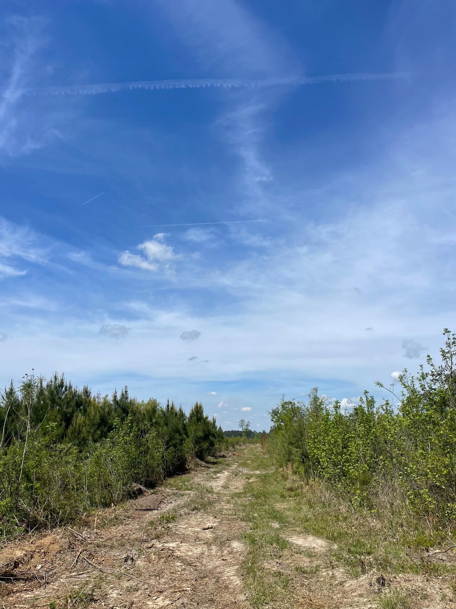 Tbd 30 Ac Rocky Ford Rd. Property Photo 1